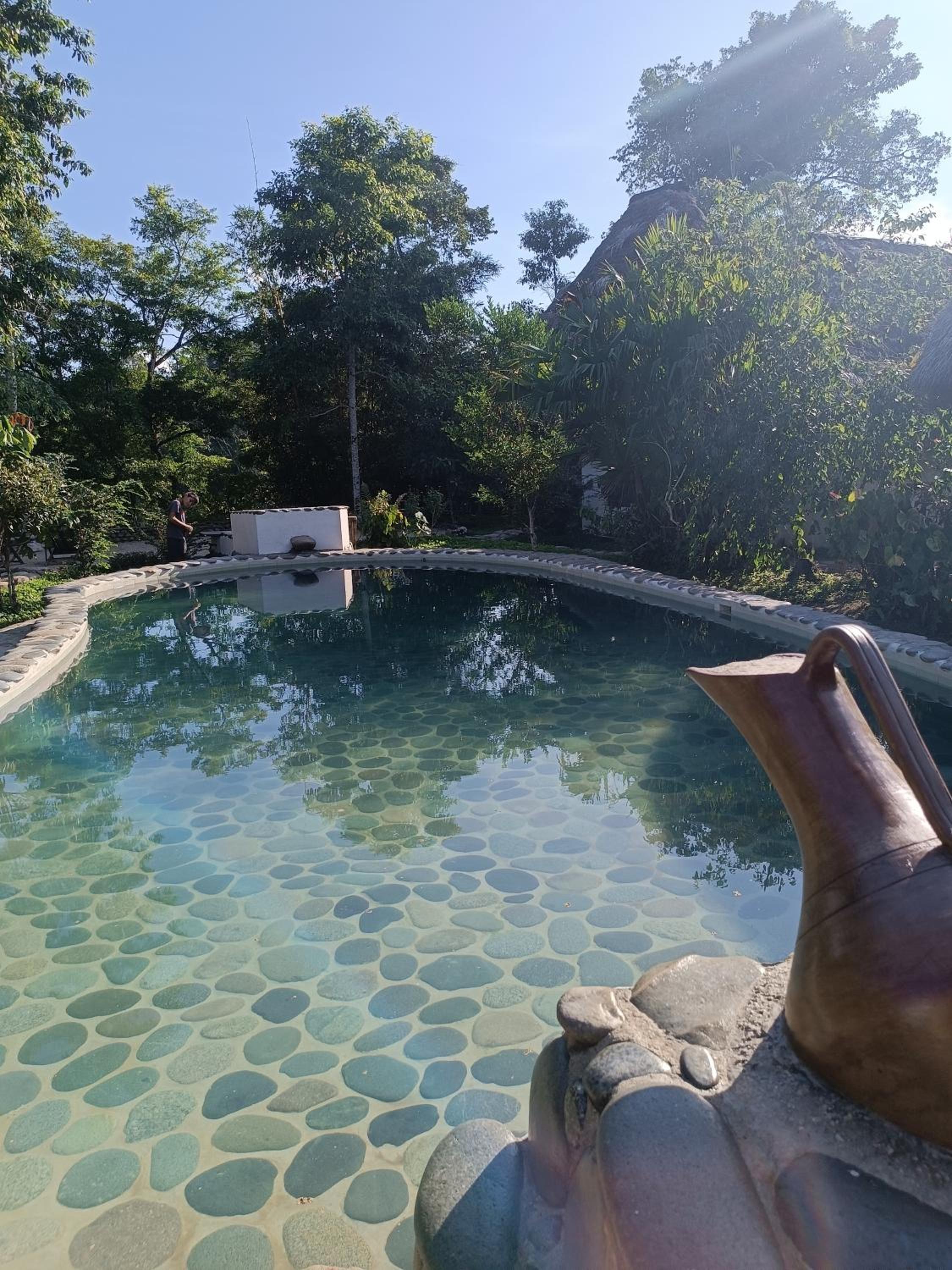 Lodge France Amazonia