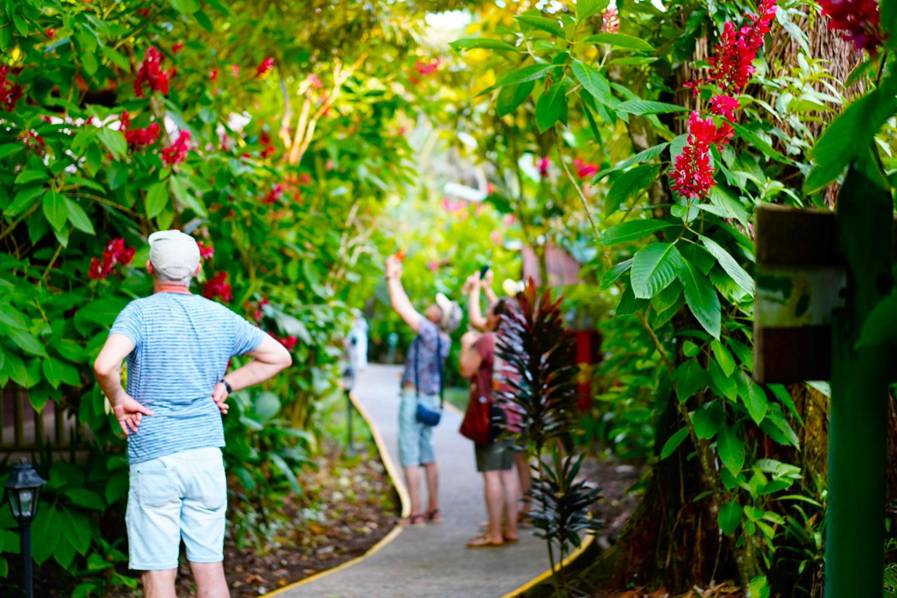 Costa Rica Caribbean Coast Vacations - Evergreen Lodge - Property Image 13