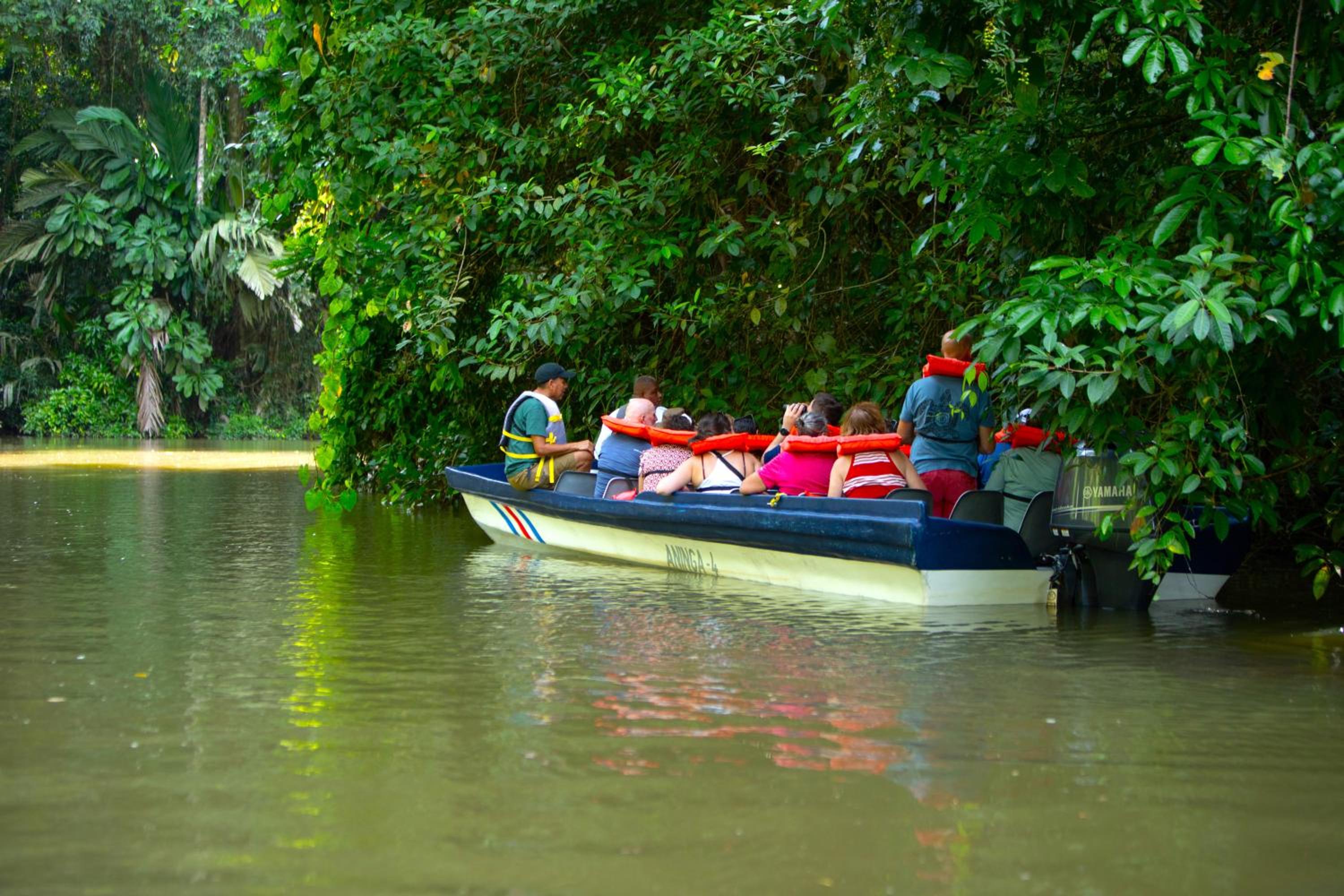 Costa Rica Caribbean Coast Vacations - Evergreen Lodge - Property Image 16