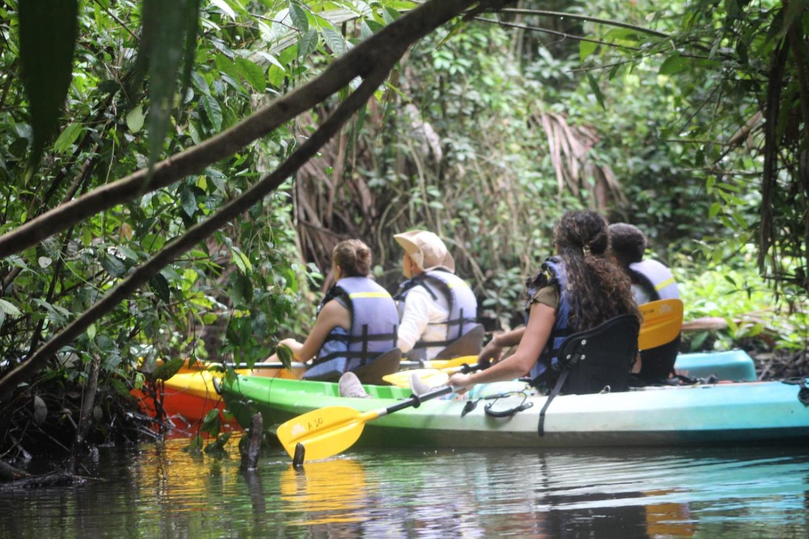 Costa Rica Caribbean Coast Vacations - Evergreen Lodge - Property Image 17