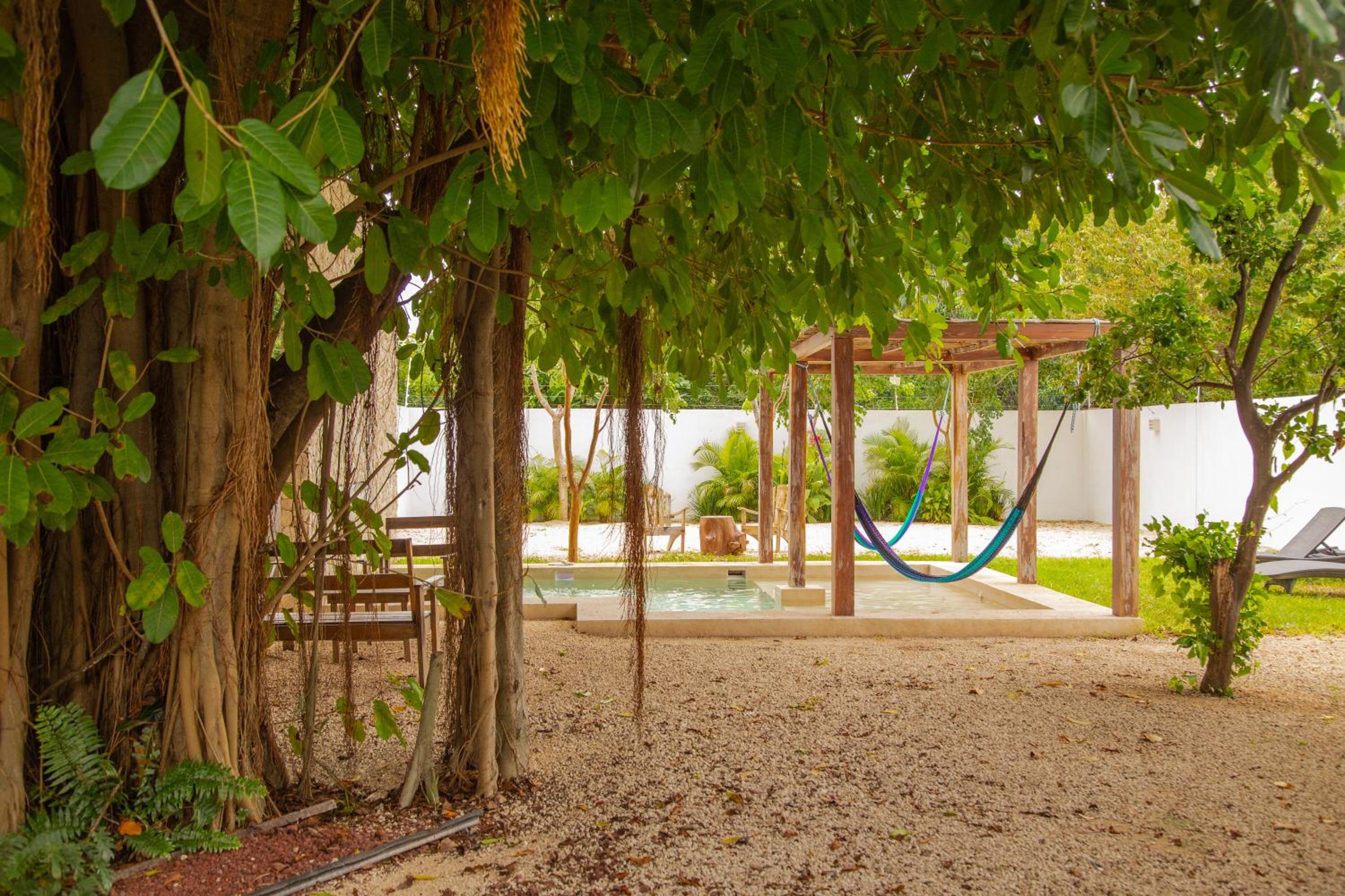Casa Grande Oasis Backyard And 100yr Unique Tree view 5