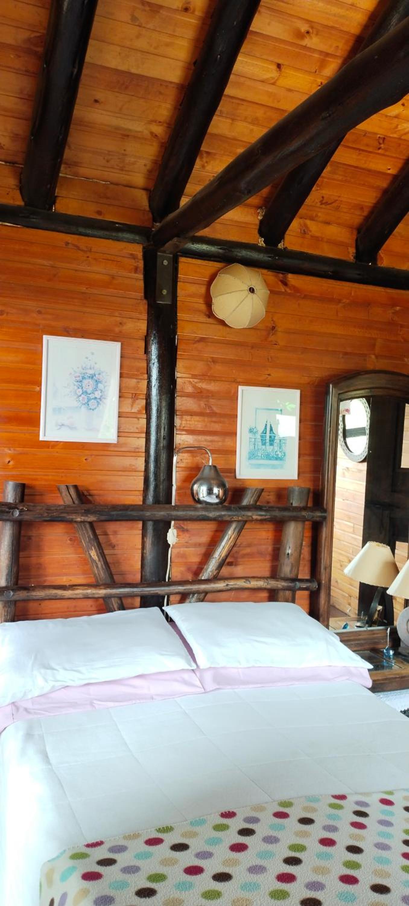 Cabaña Chalet Alejandrina