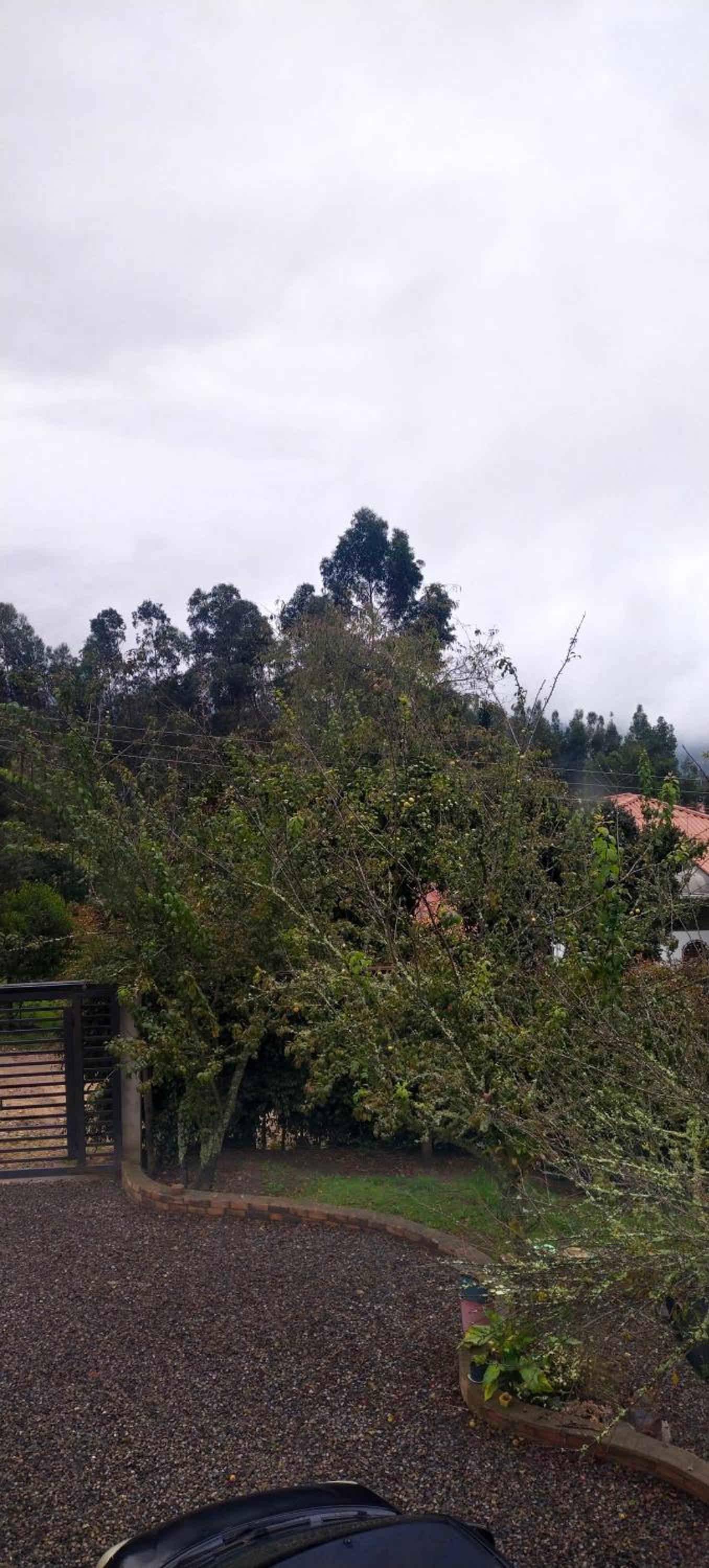 Cabaña Chalet Alejandrina