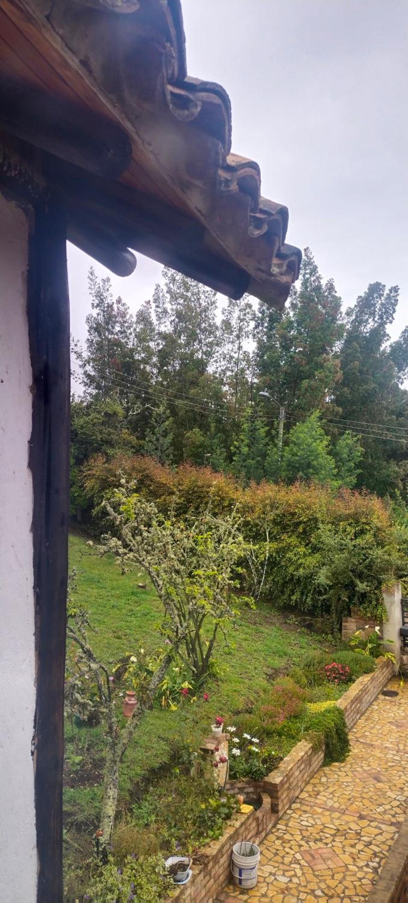 Cabaña Chalet Alejandrina