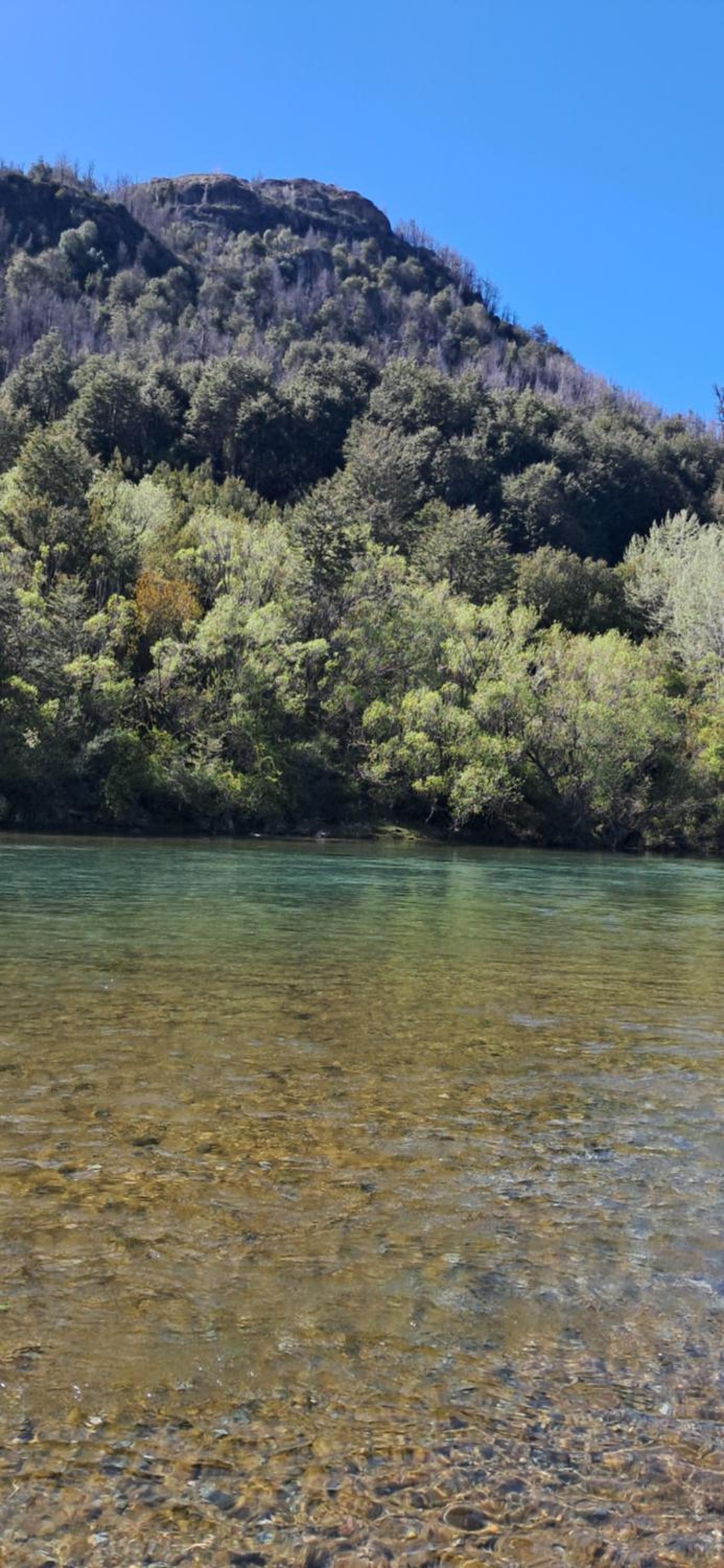 La Tambera