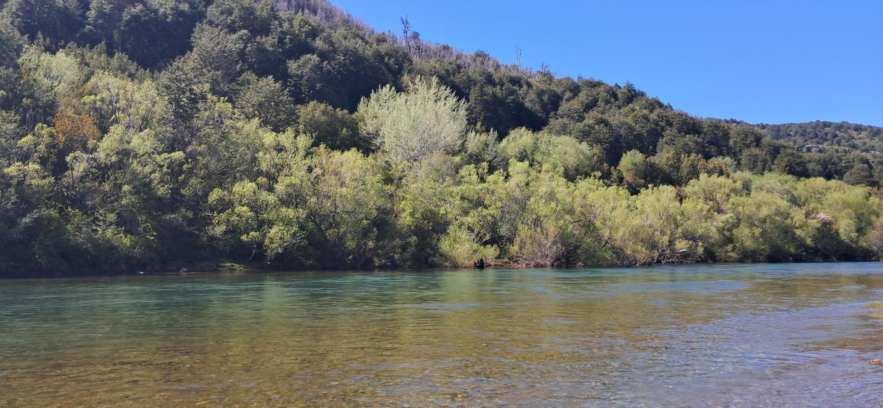 La Tambera