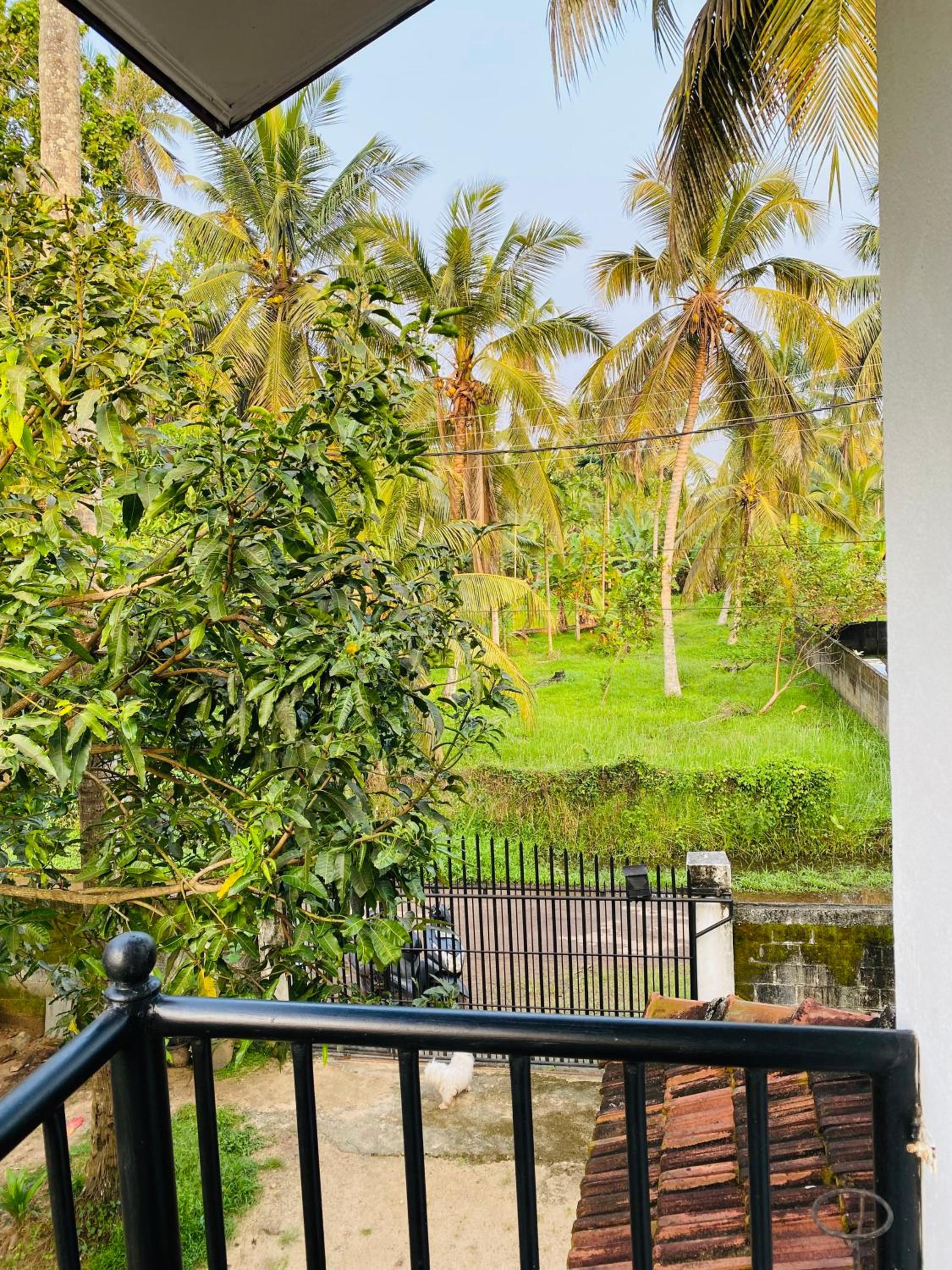 Cheena Homestay