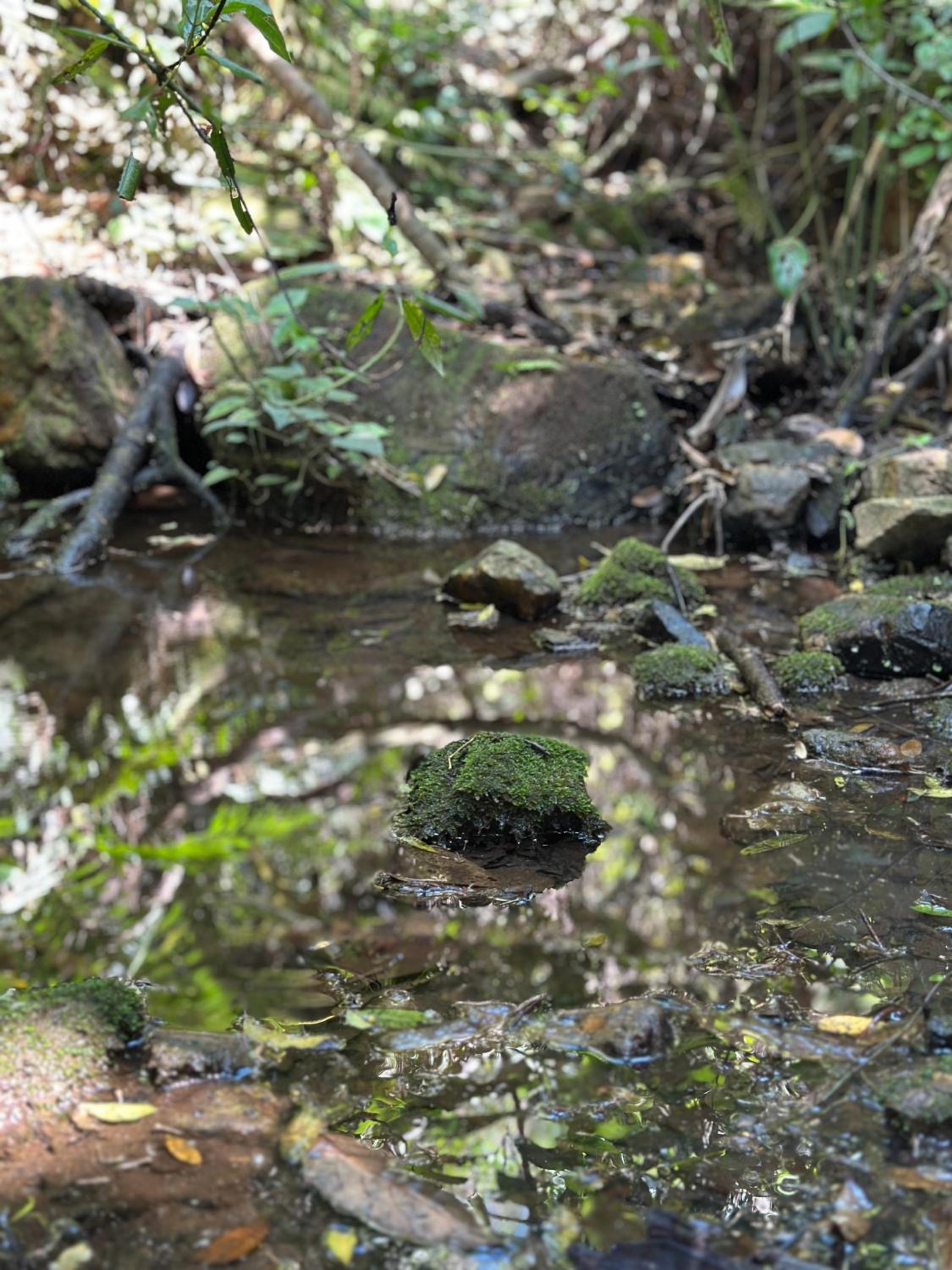Bendito Refúgio - na natureza de Tiradentes