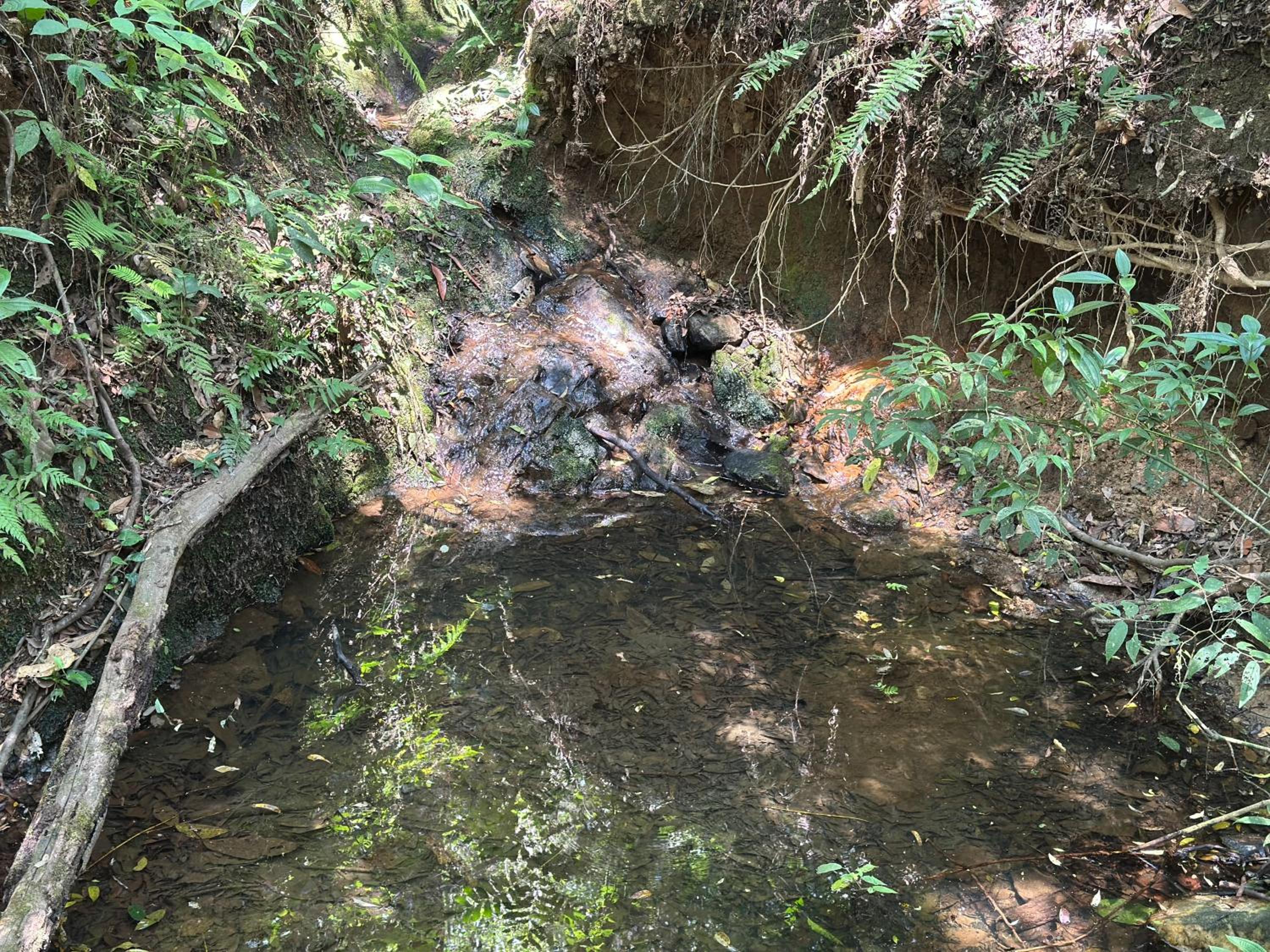 Bendito Refúgio - na natureza de Tiradentes