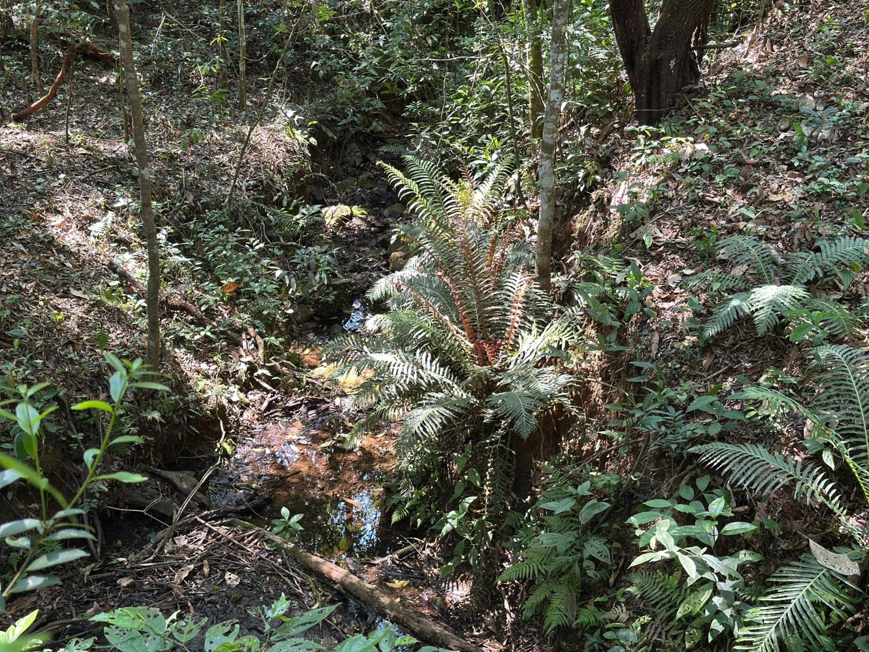 Bendito Refúgio - na natureza de Tiradentes