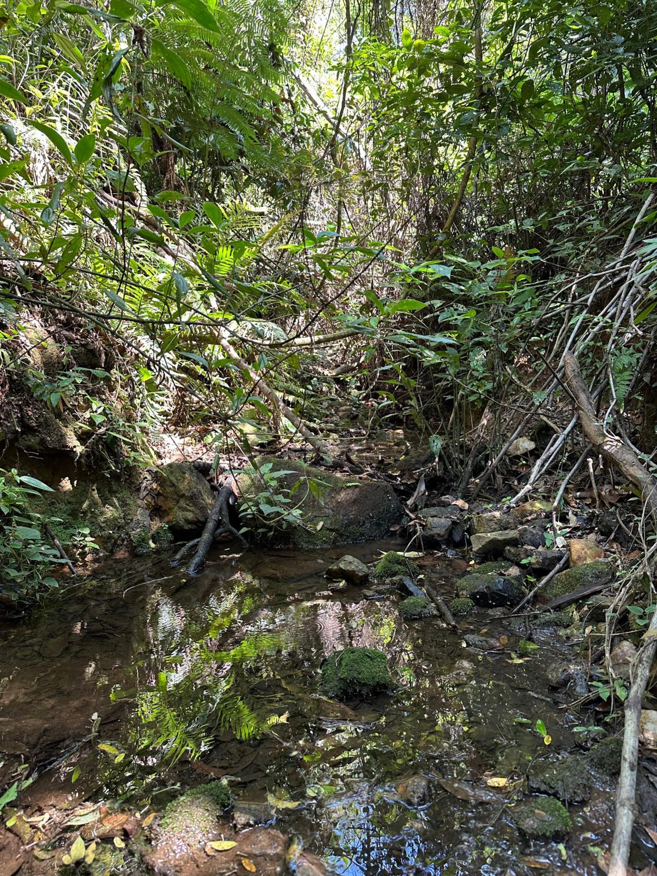 Bendito Refúgio - na natureza de Tiradentes