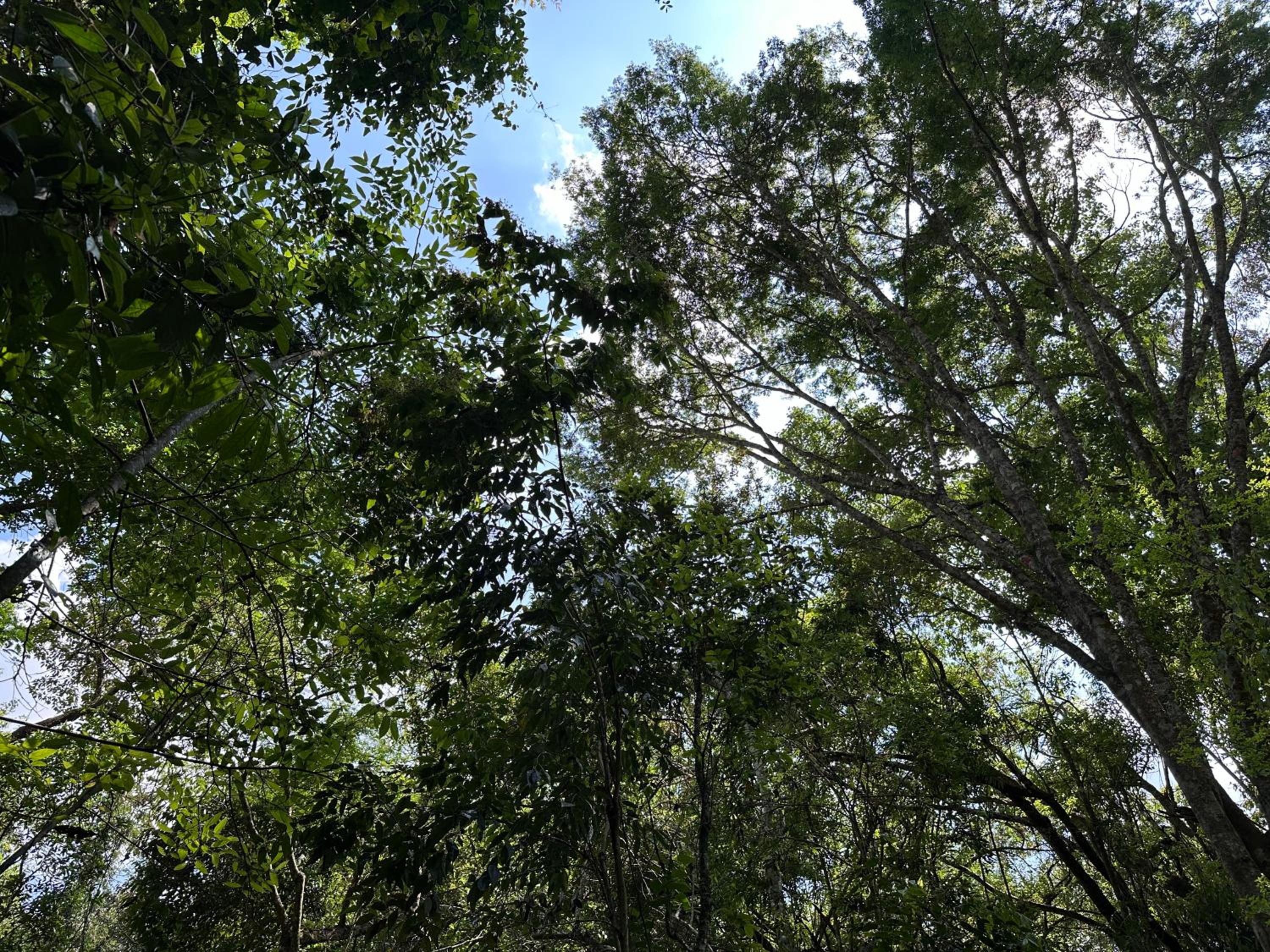 Bendito Refúgio - na natureza de Tiradentes