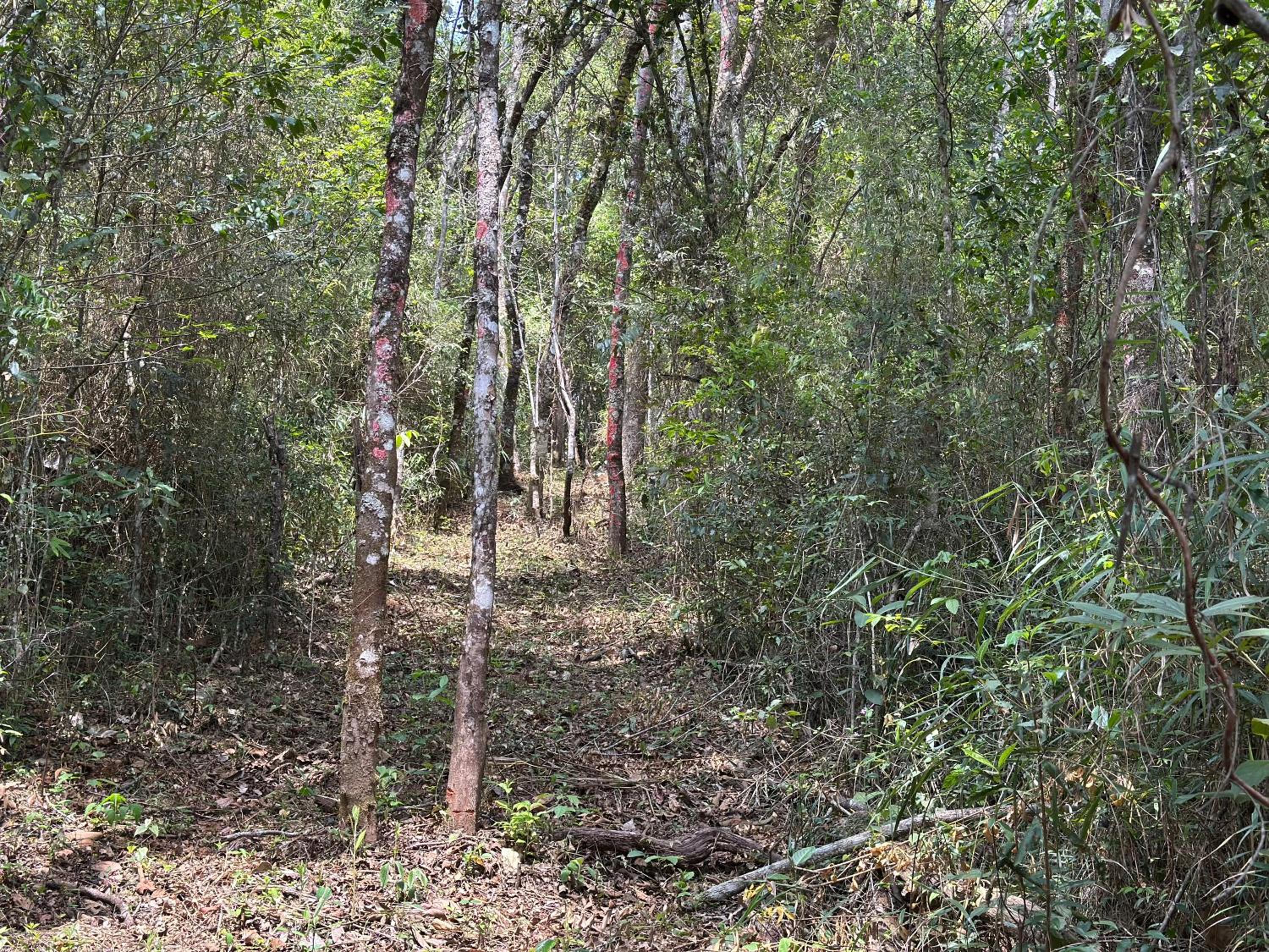 Bendito Refúgio - na natureza de Tiradentes