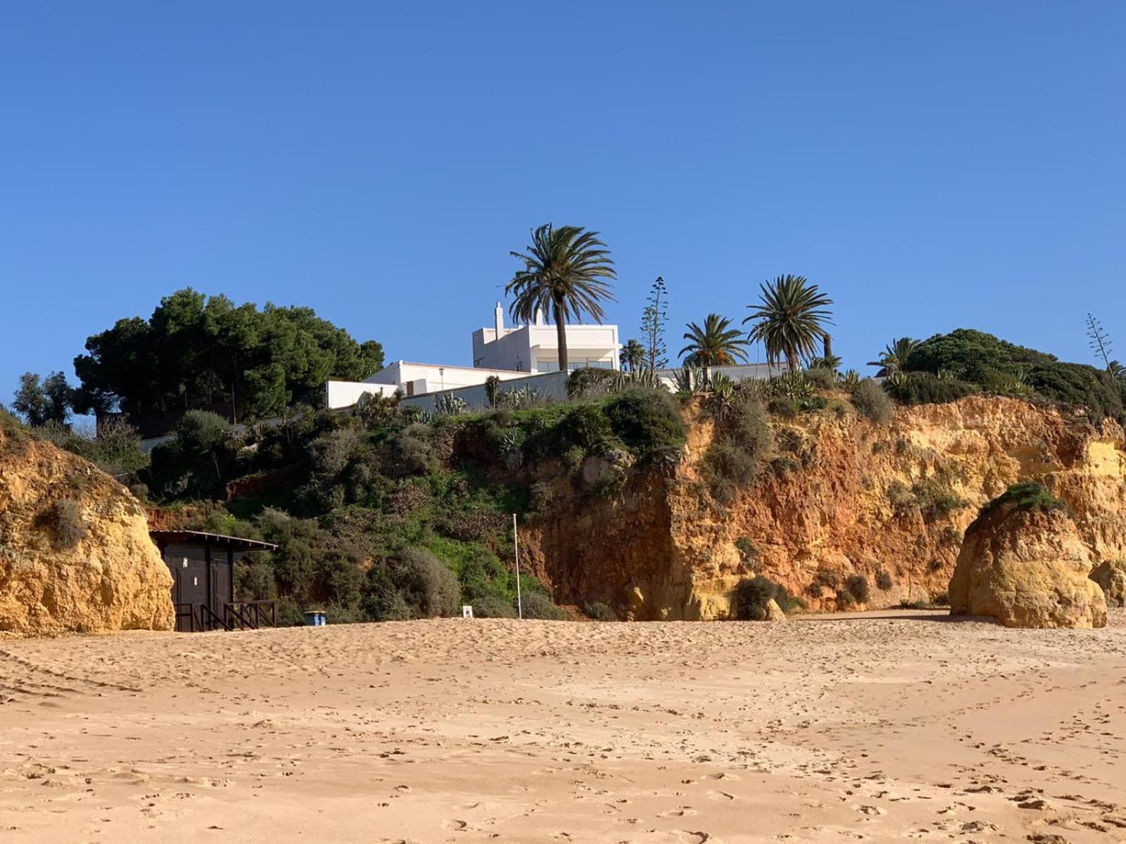 Casa Tres Palmeiras