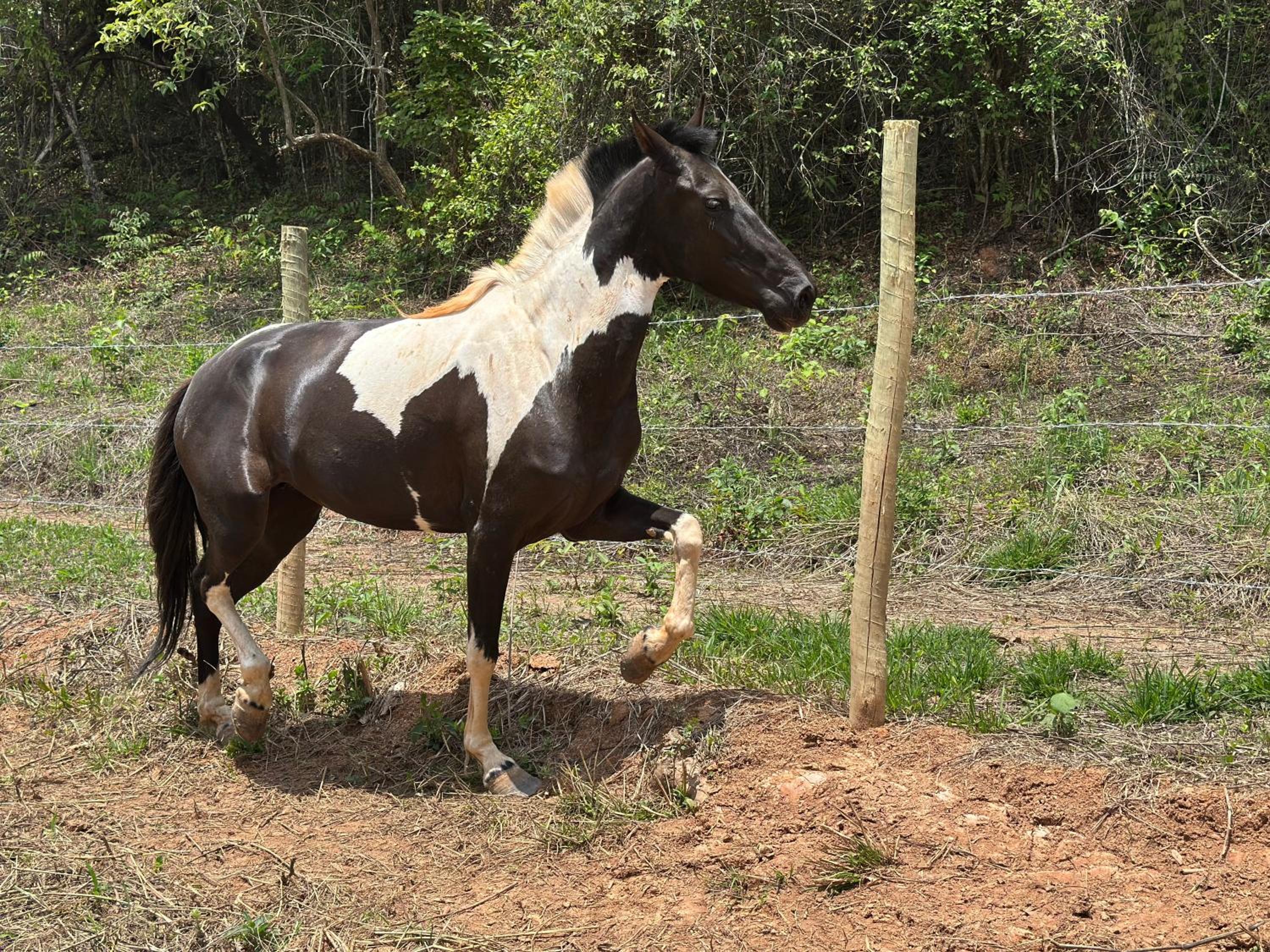Bendito Refúgio - na natureza de Tiradentes