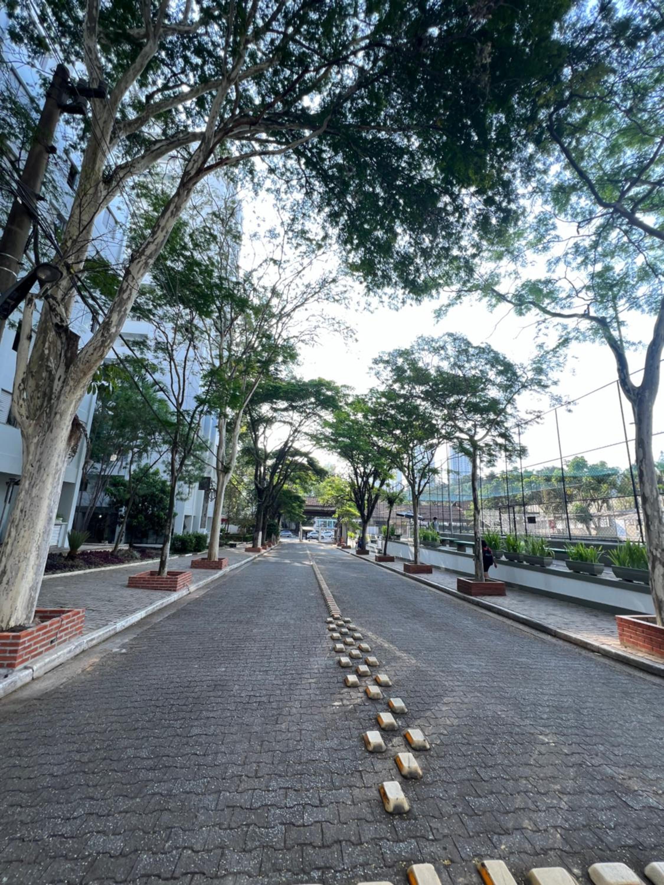 Solimões, Autódromo, IBC, PQ Mônica ,Aeroporto Congonhas, Expo Transamerica