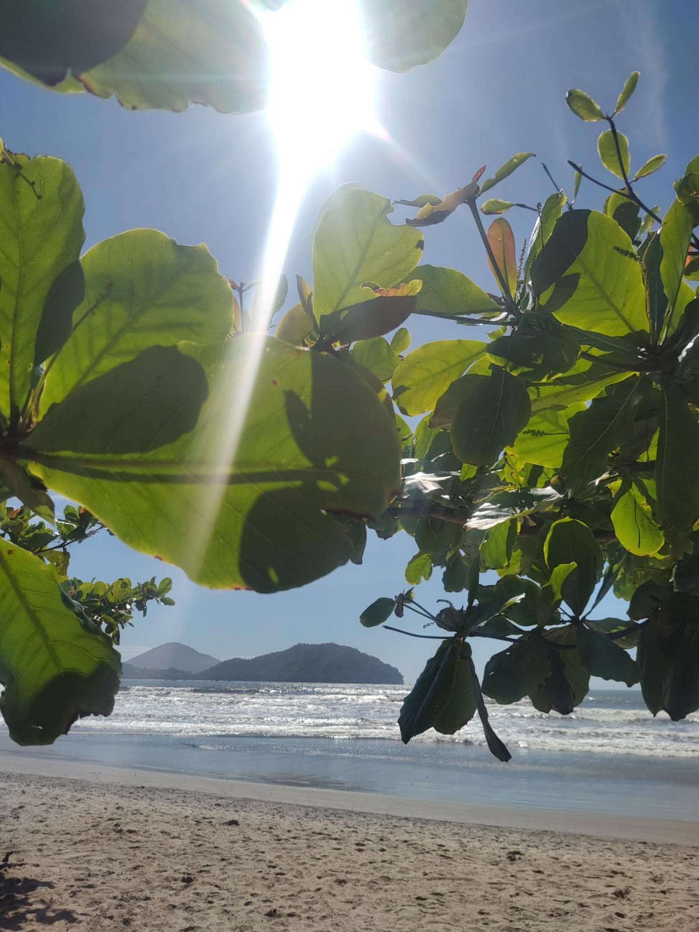 Alê e o Mar