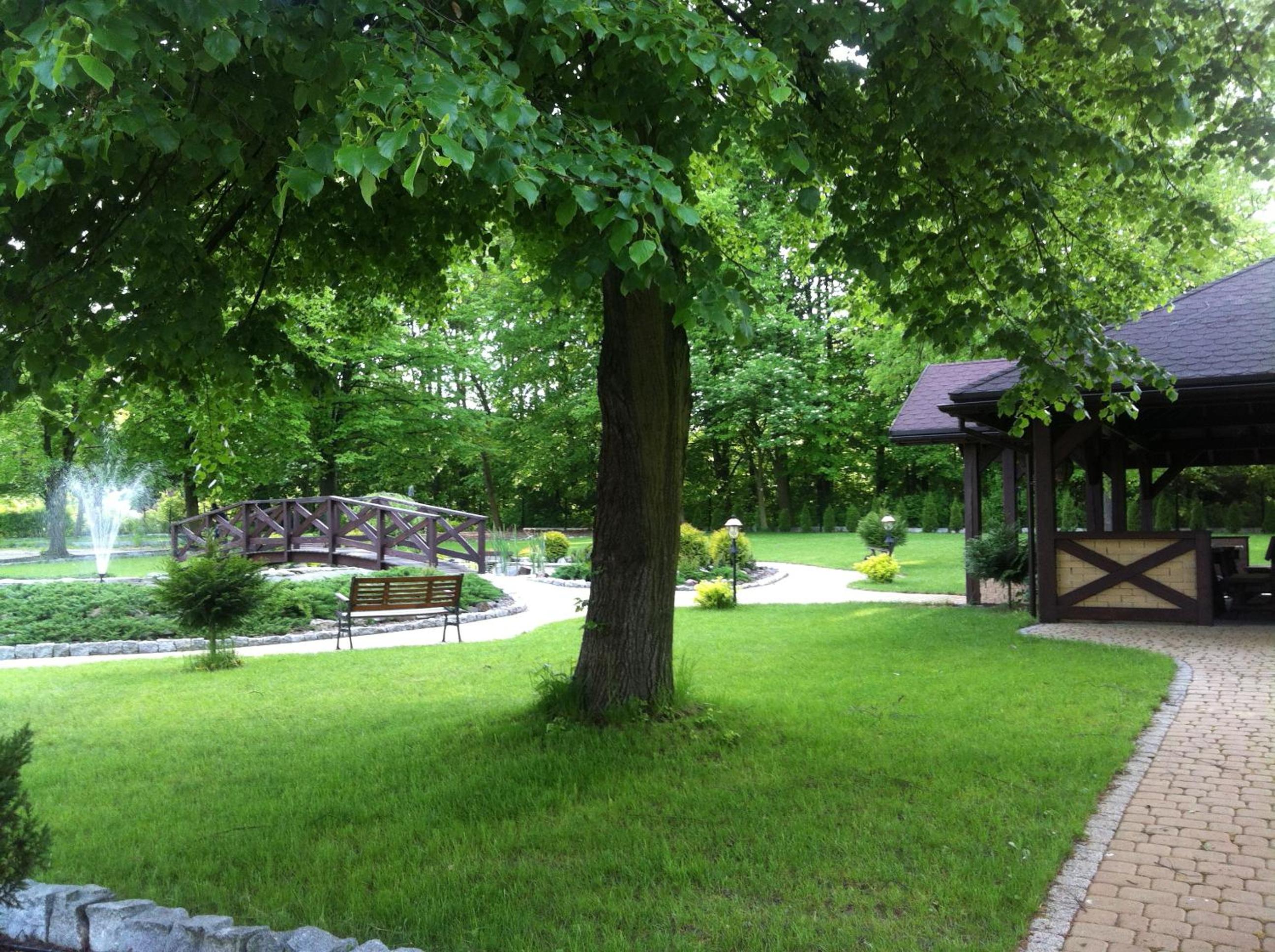 Photo 14