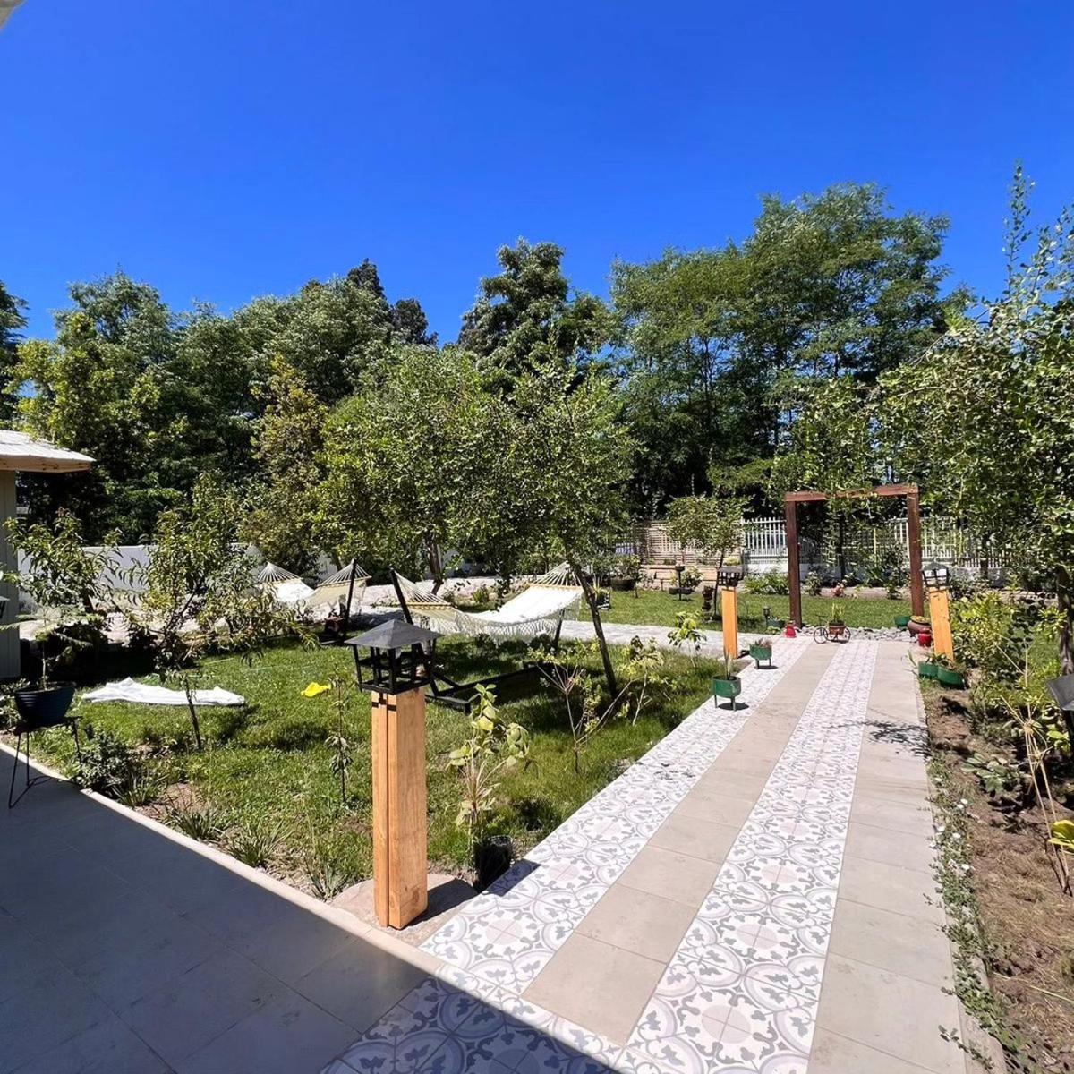 Casa Noly