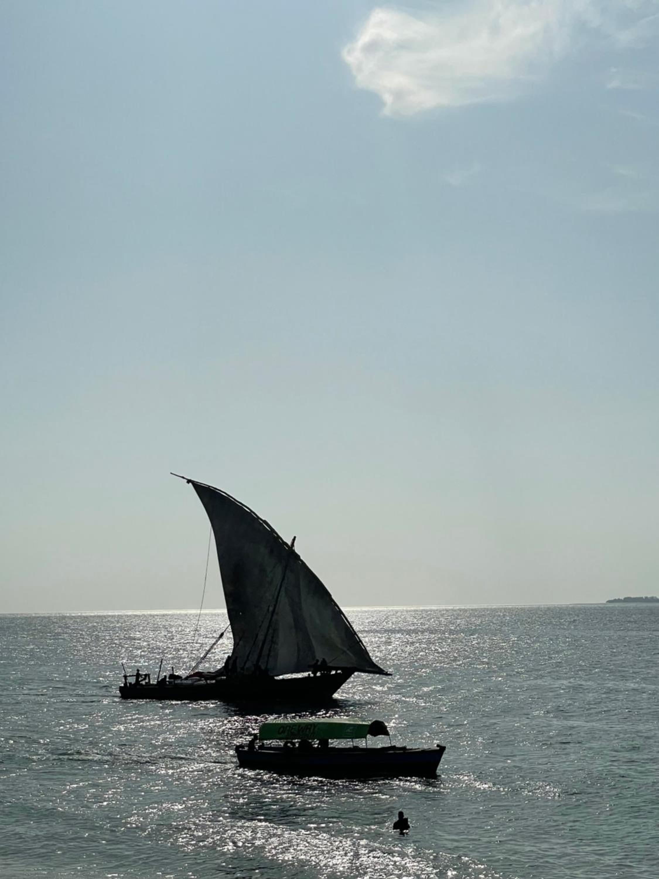 CDM Villas Zanzibar view 3