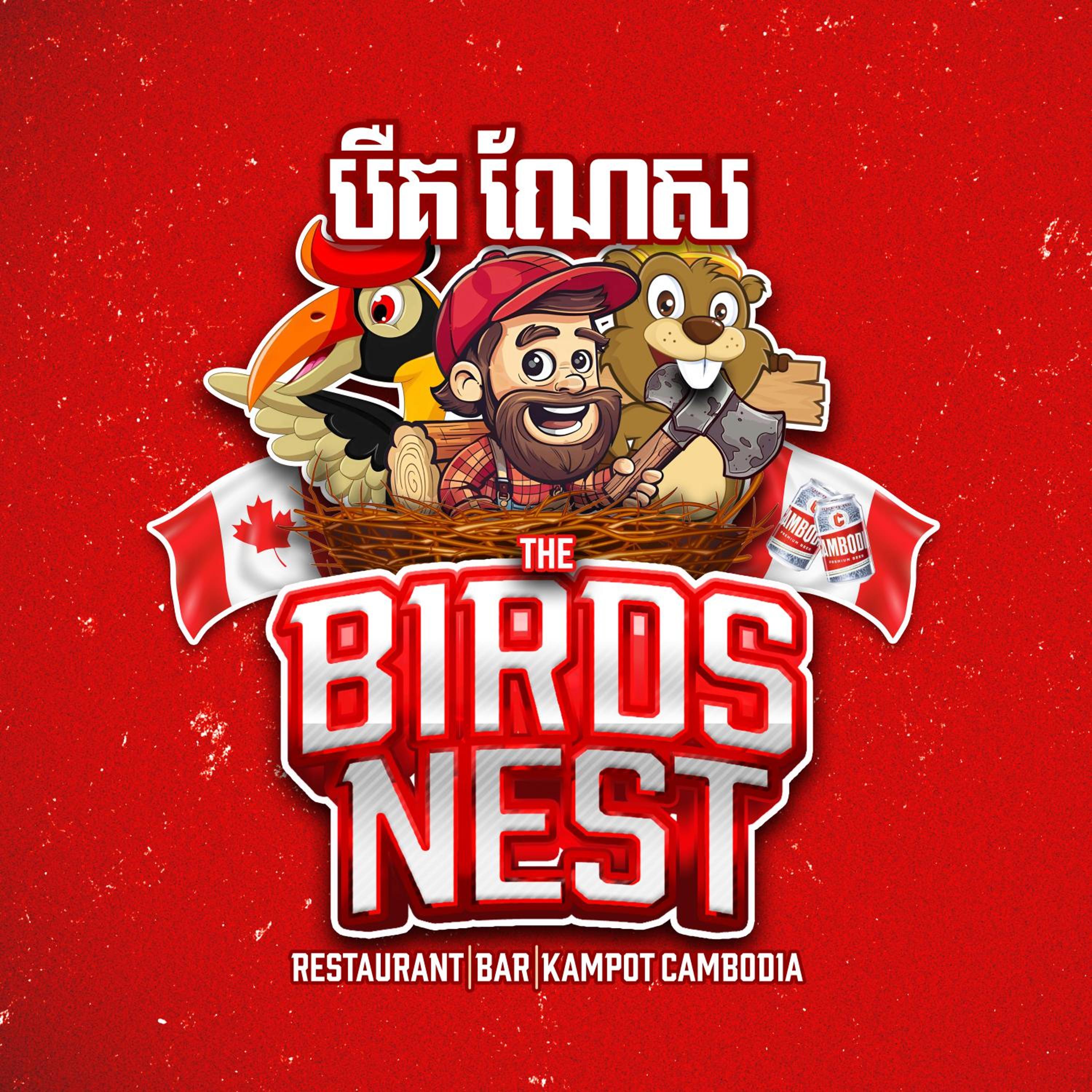 The Birds Nest view 5