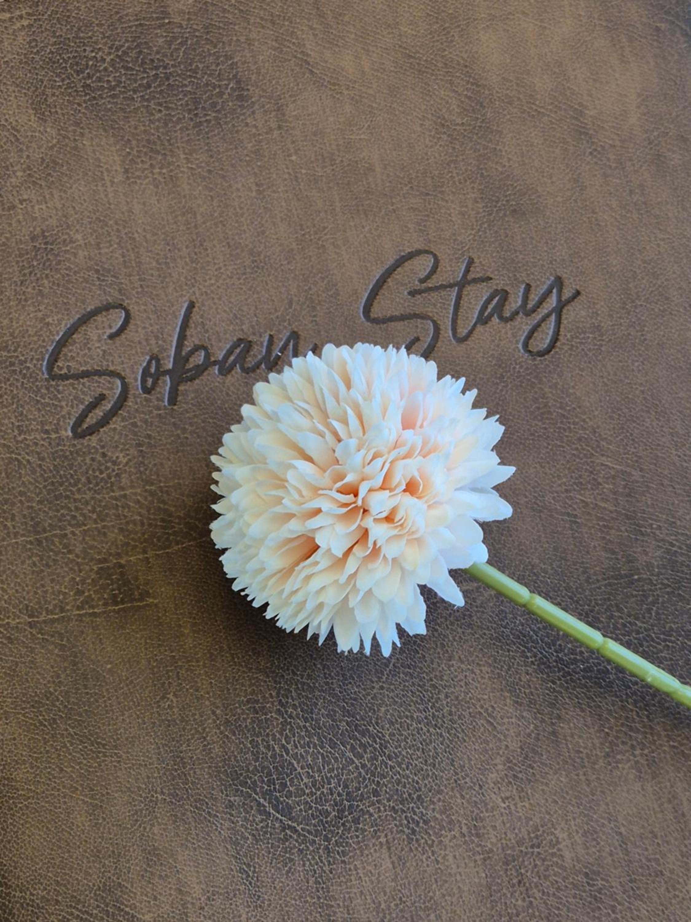 Soban Stay