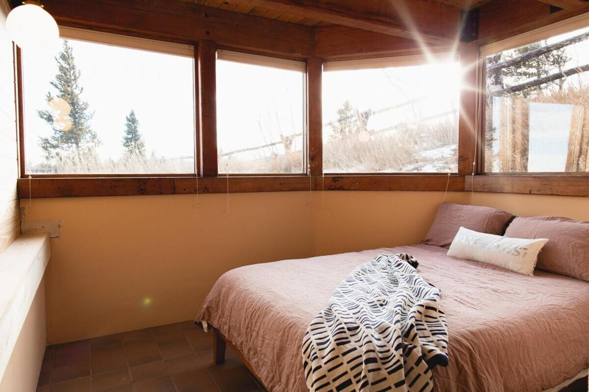 Fairplay Coyote Cabin