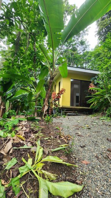 Casatranquila dentro de la selva