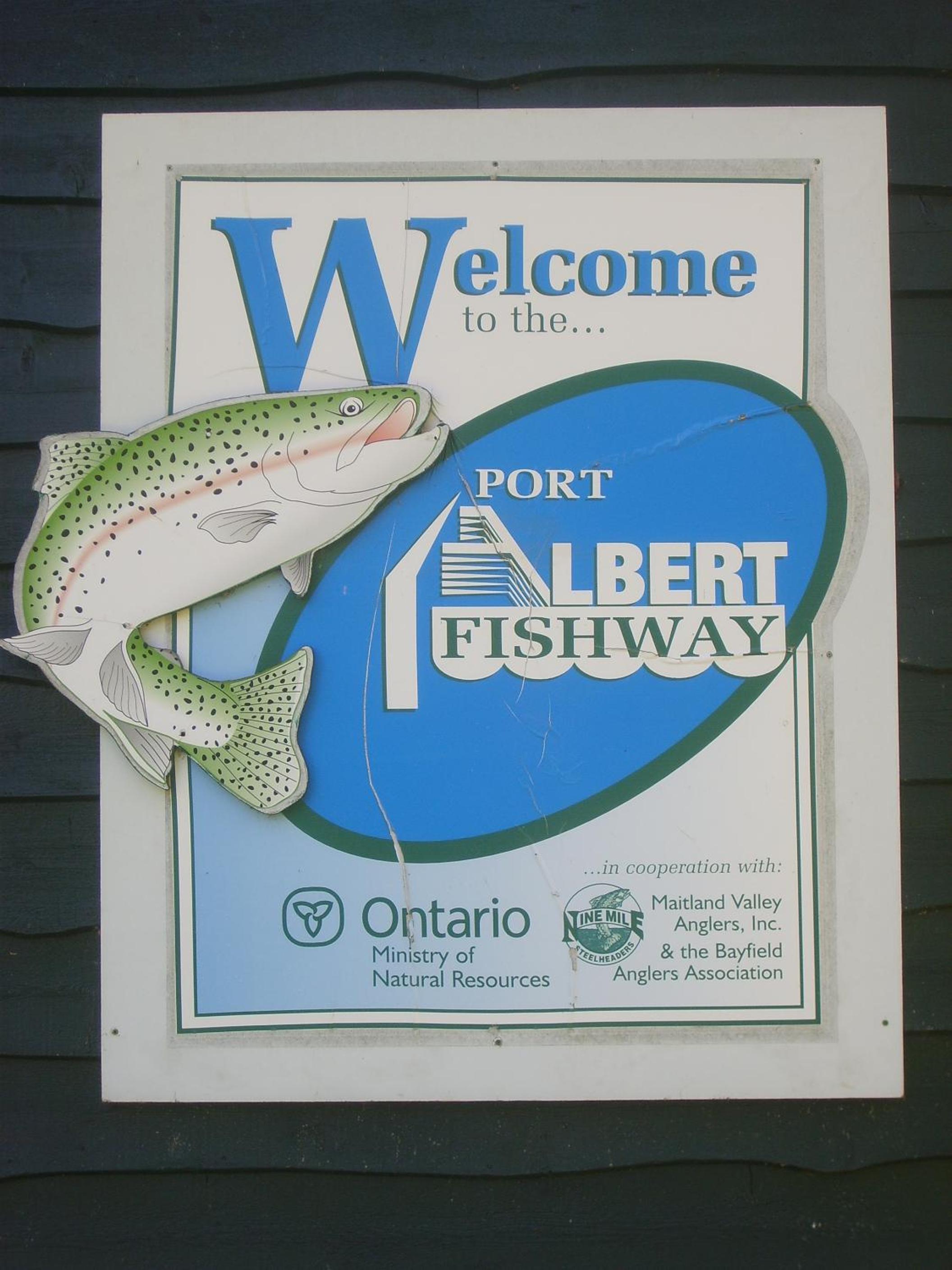 Port Albert Inn