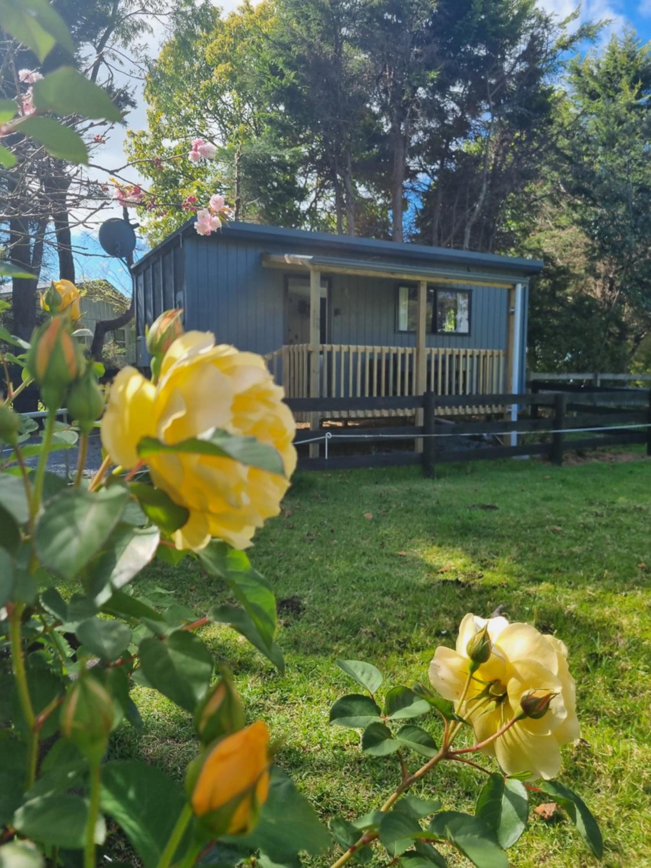Kauri Den Bed and Breakfast view 2