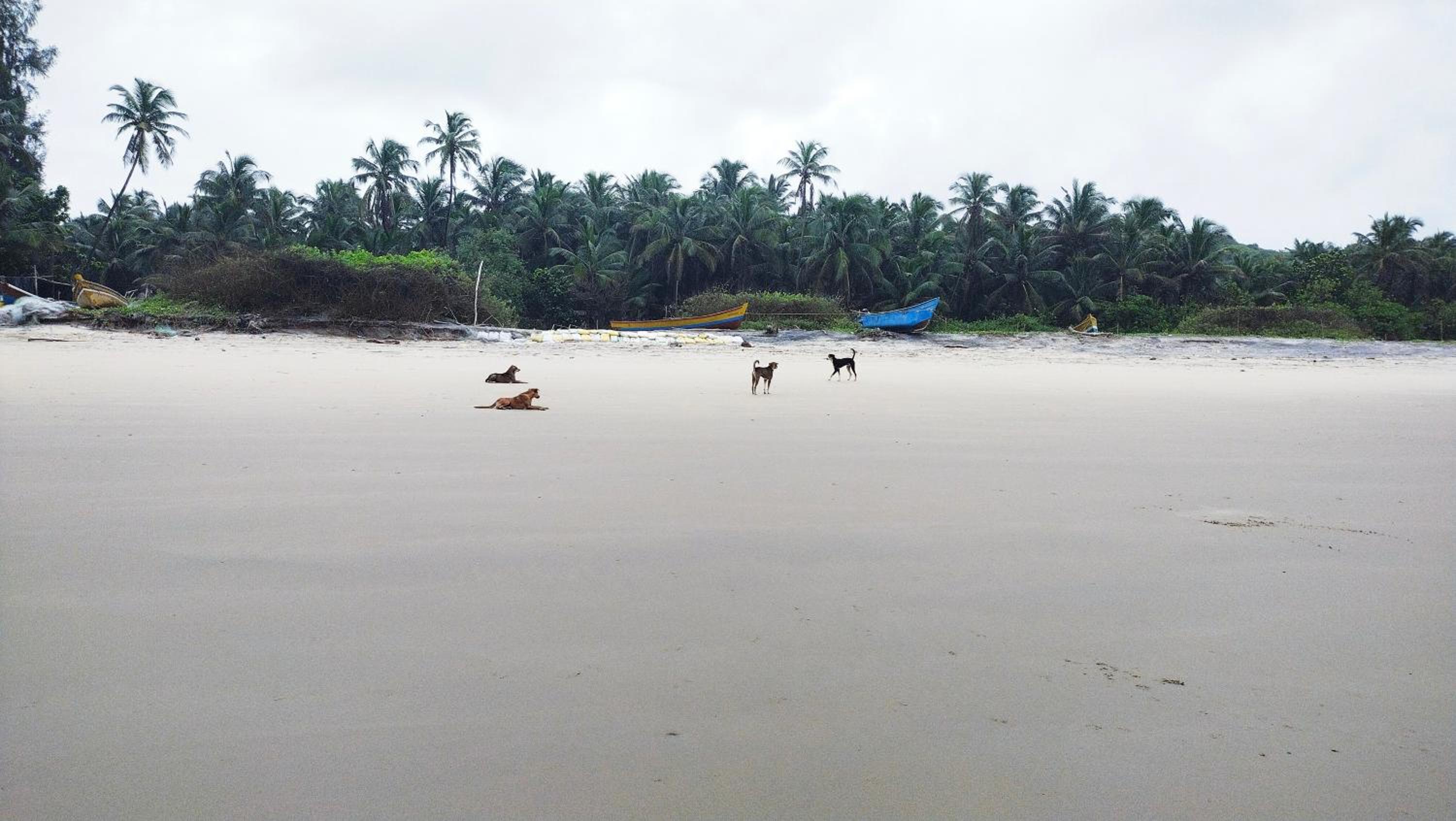 Samant Beach Resort