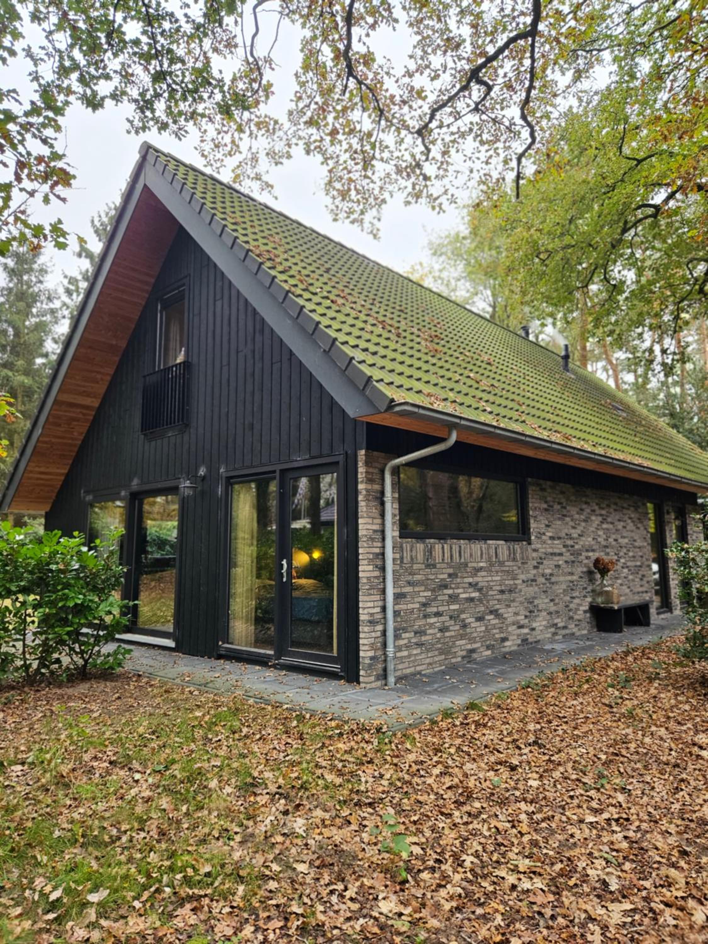 Boshuis midden in het bos met houtkachel in Appelscha view 4