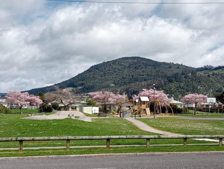 Cosy n Central Rotorua 2BR Entire House & Studio -summer only view 4
