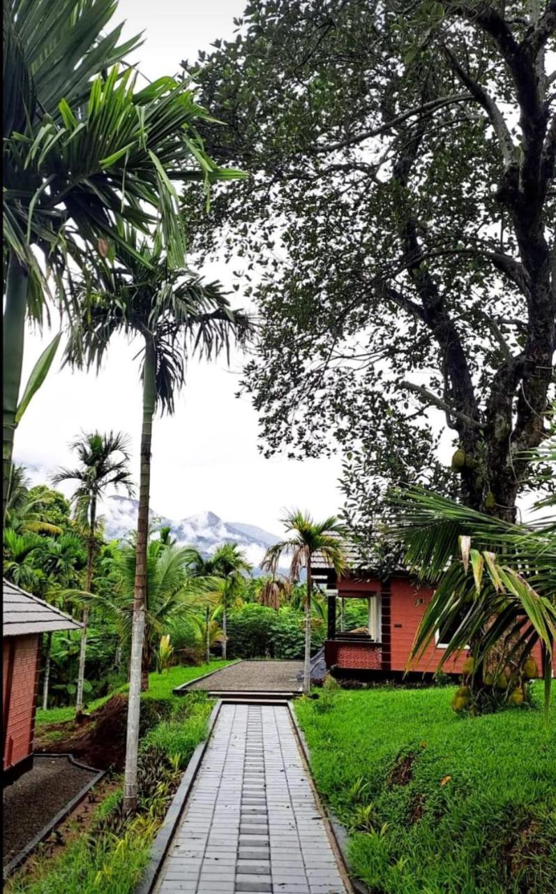 Betel Brooks Resort view 2