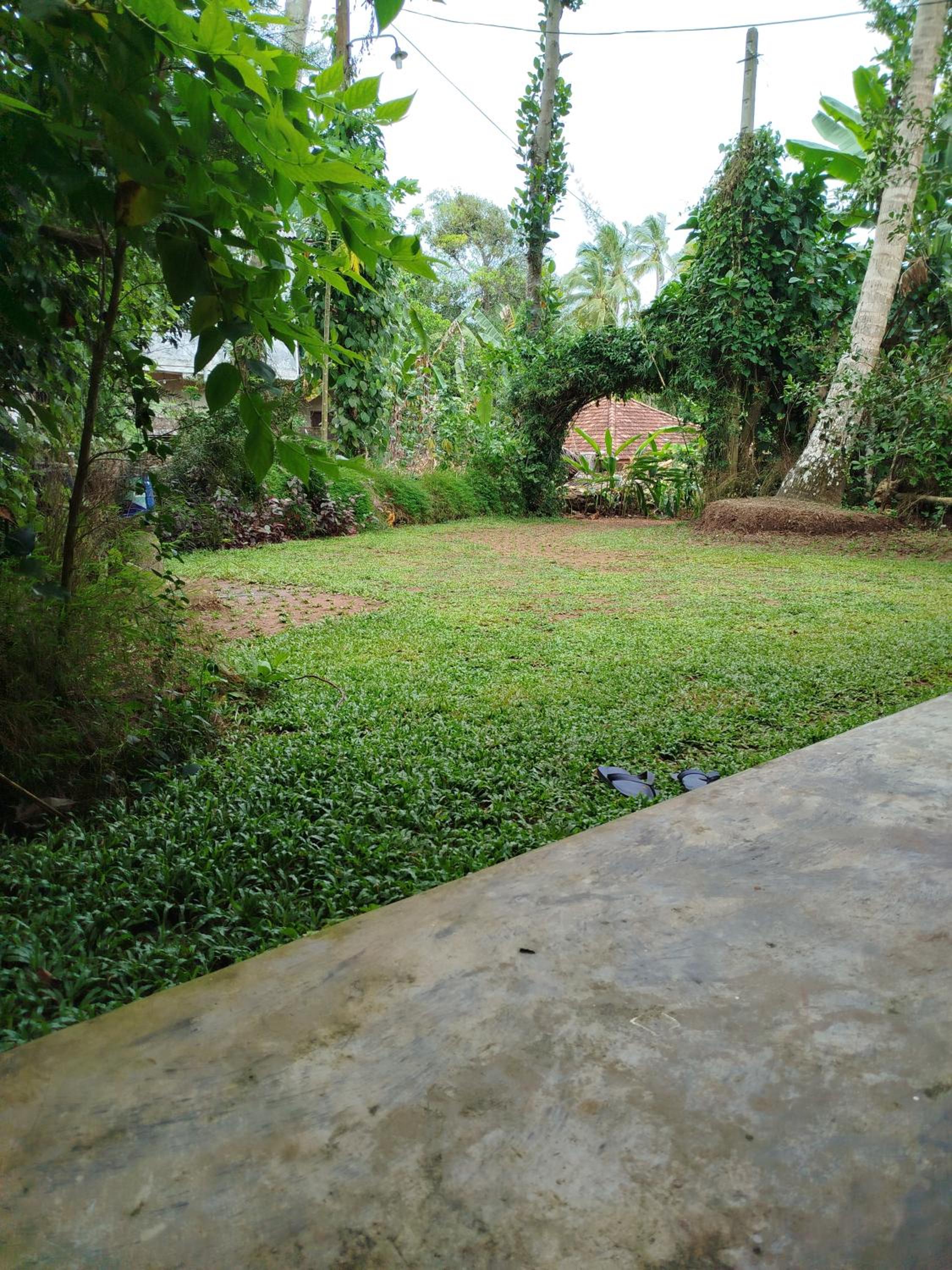 Photo 48