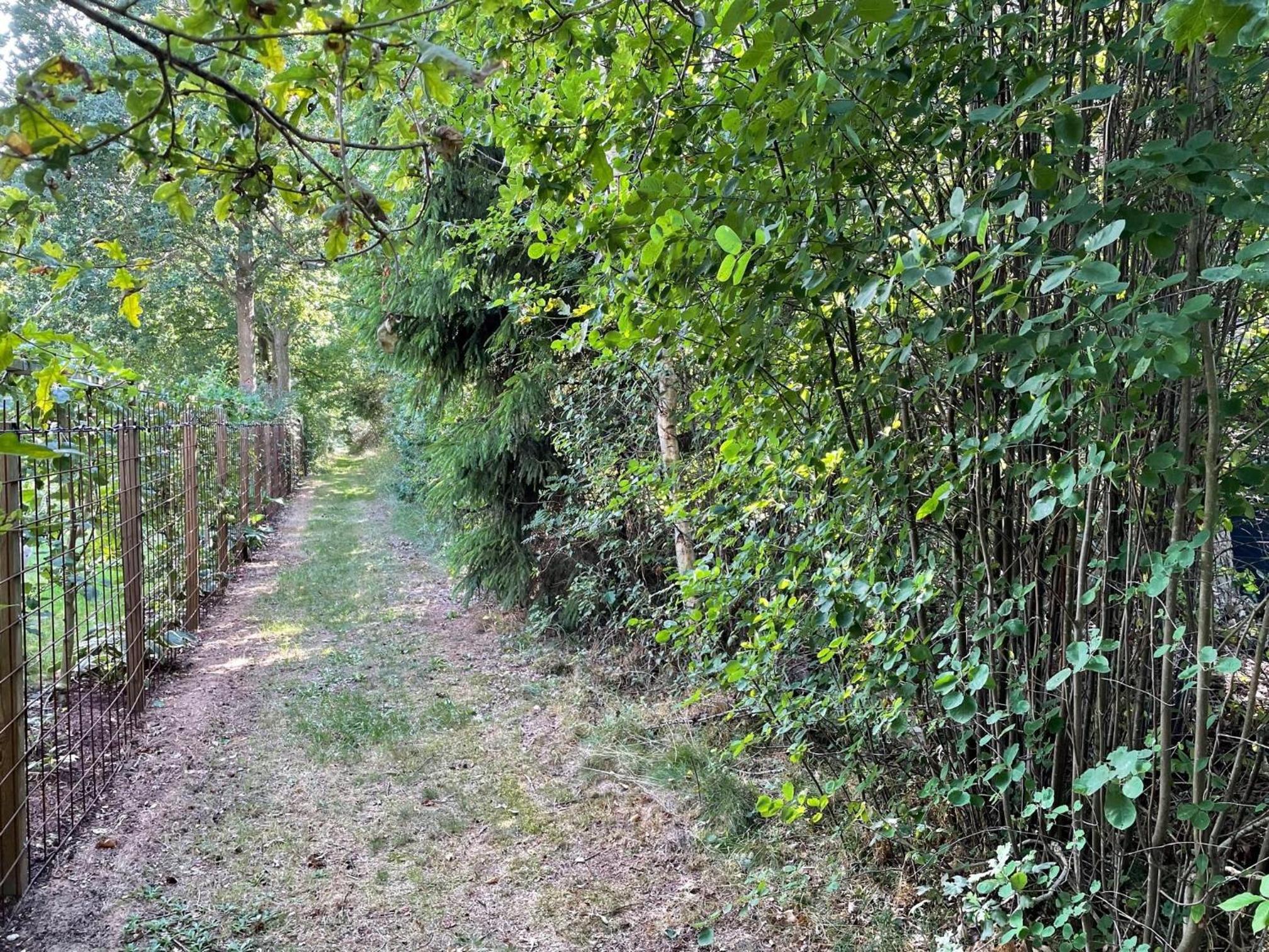 Photo 23