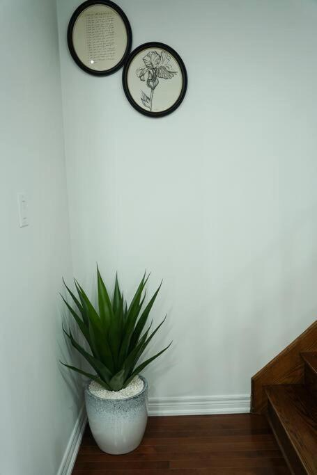 Best Home with Quite Area