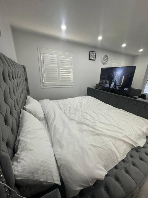 Best Home with Quite Area