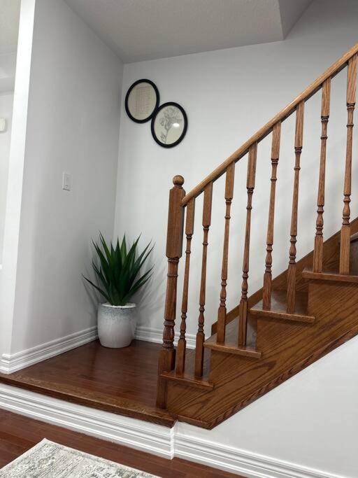 Best Home with Quite Area