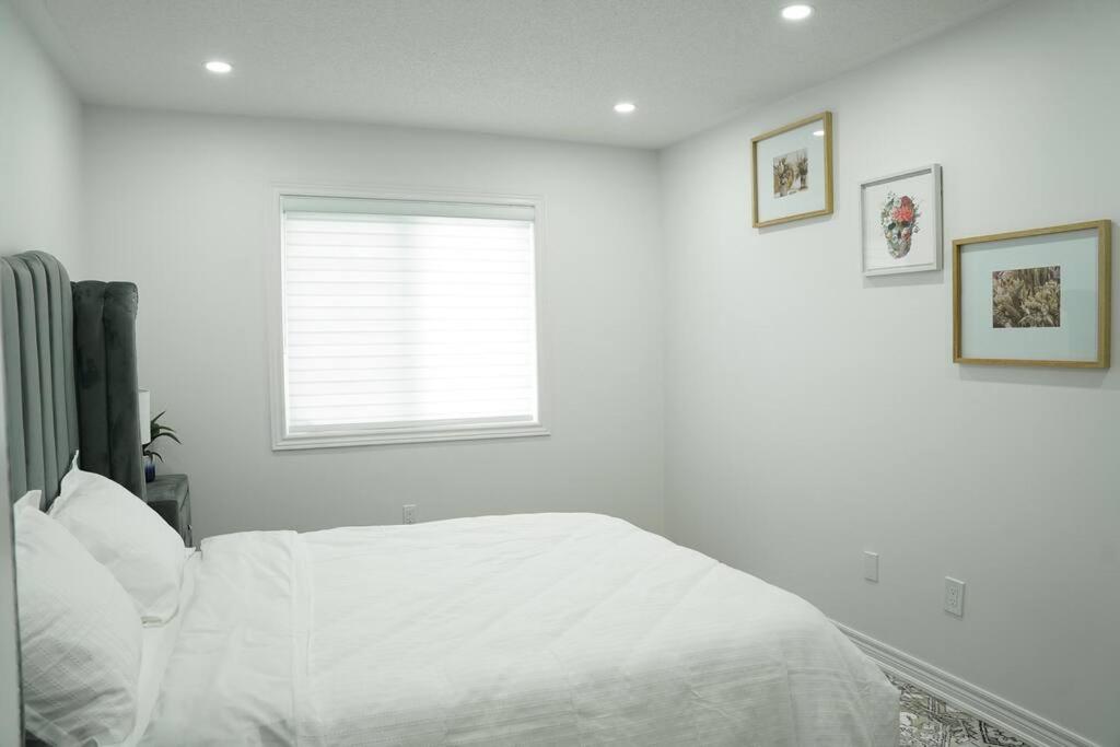 Best Home with Quite Area