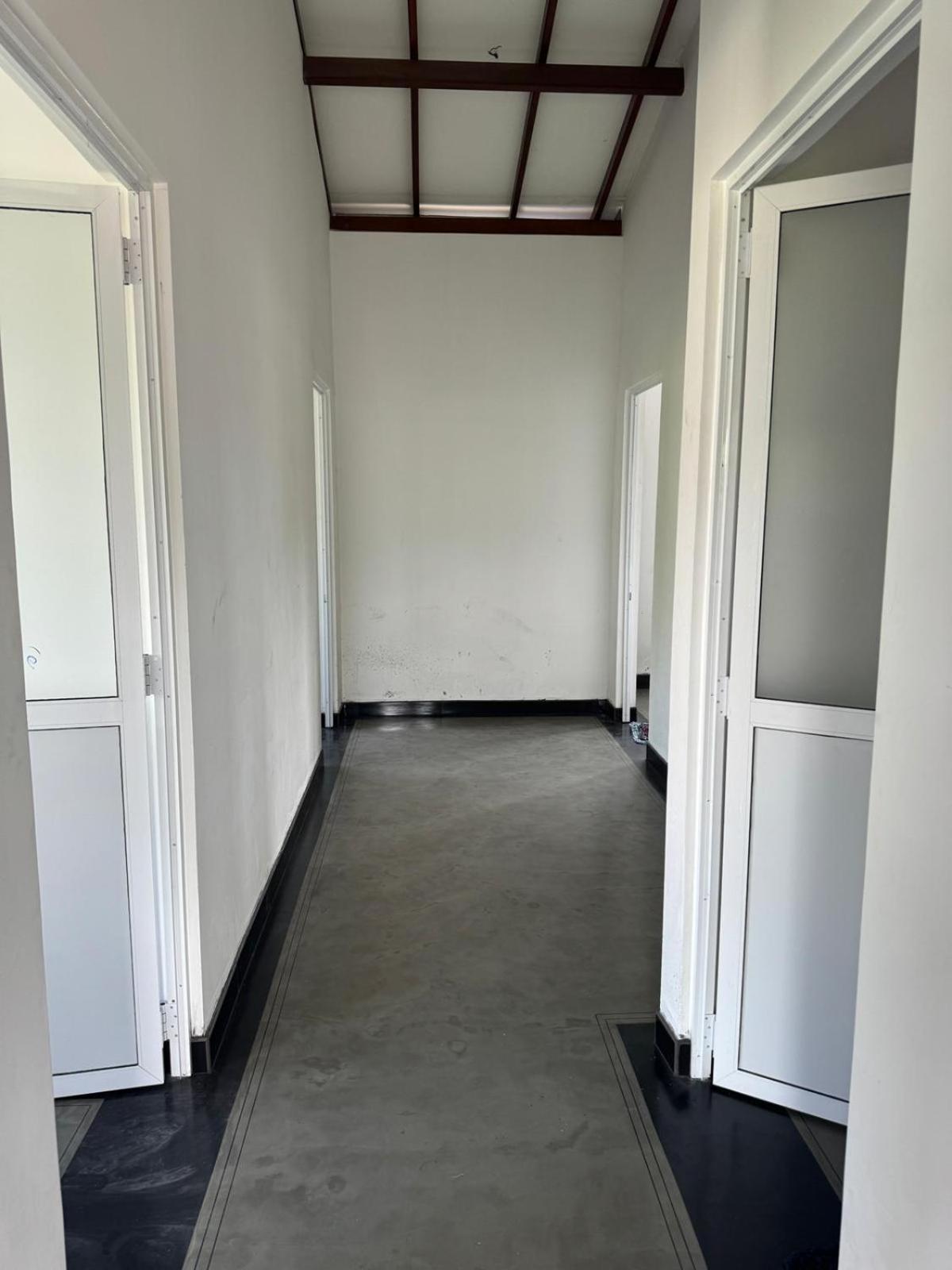 LEO INn GALLE