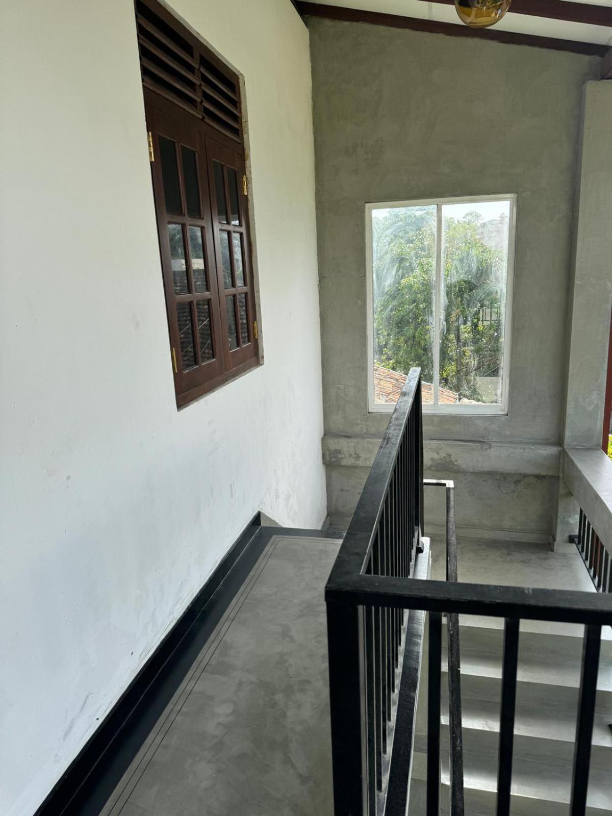 LEO INn GALLE