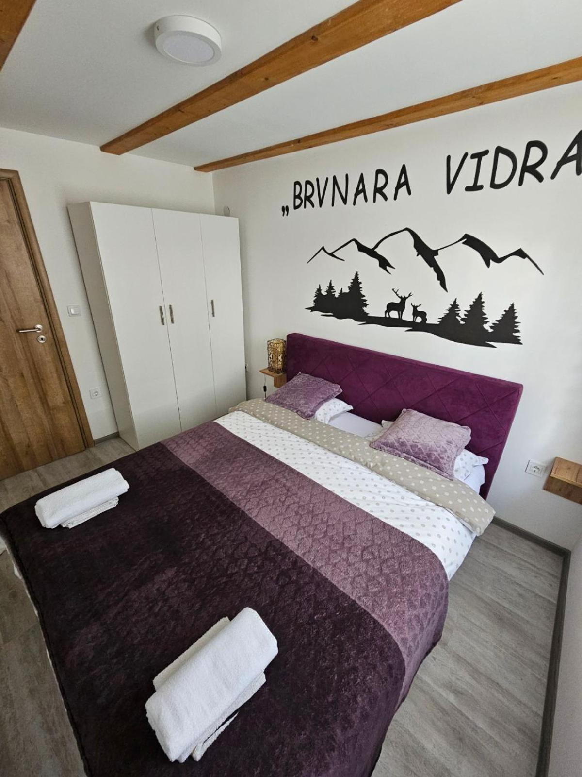 Brvnara Vidra