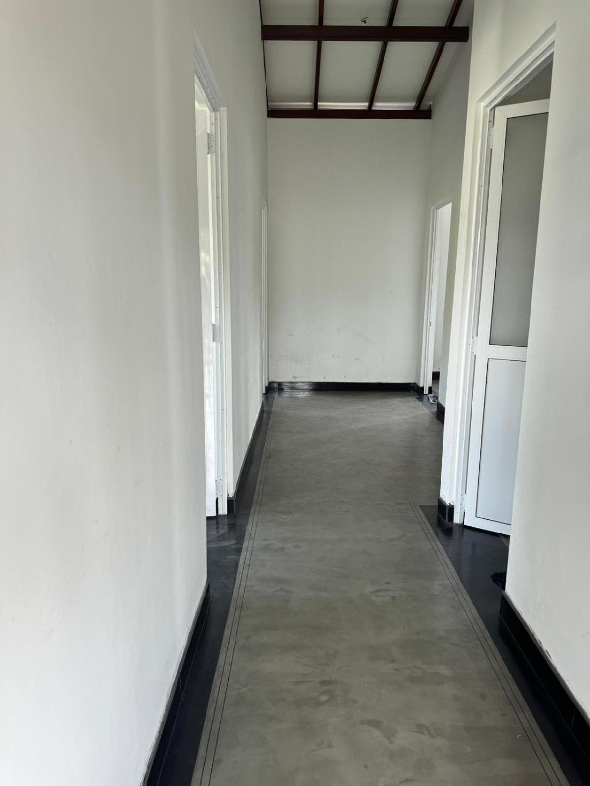 LEO INn GALLE