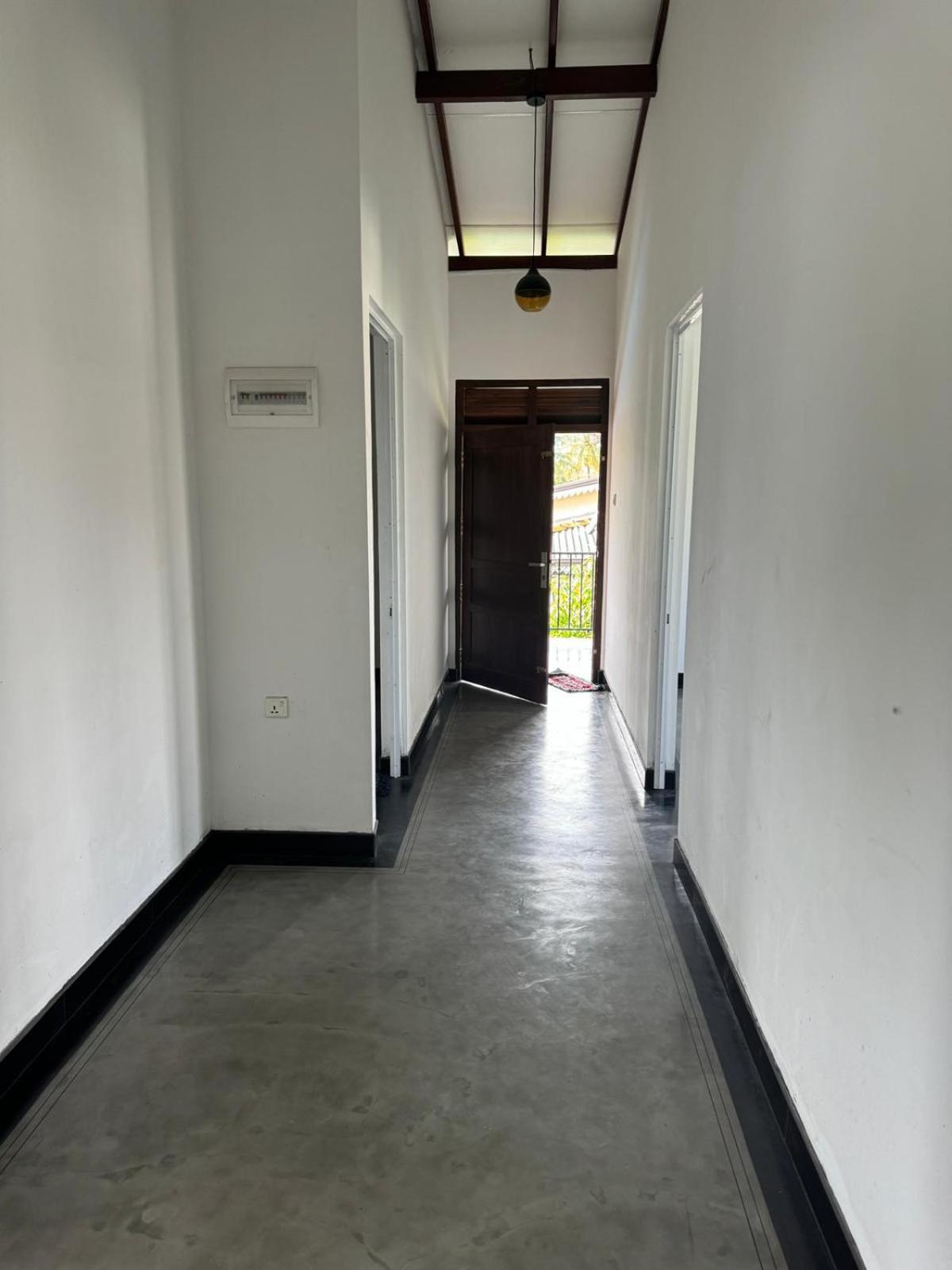 LEO INn GALLE