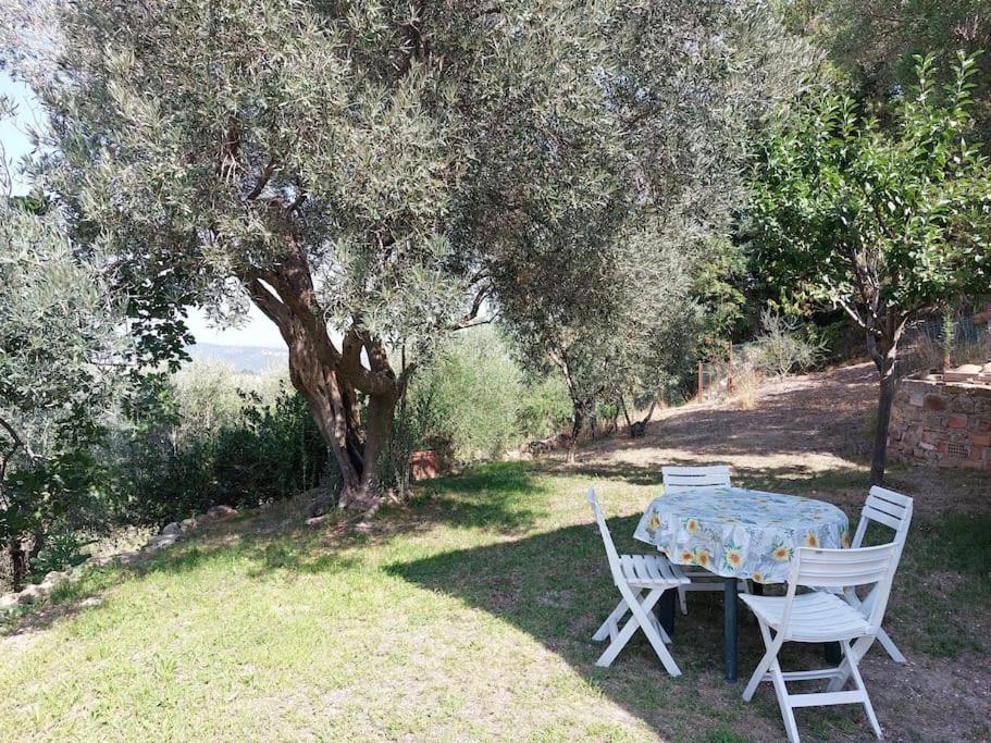 Grazioso cottage di campagna view 2