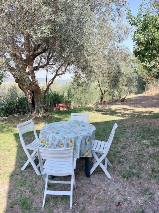 Grazioso cottage di campagna view 4
