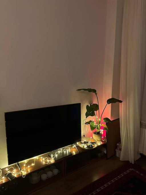 Cozy & Quiet Apartment in Baku