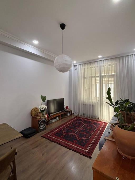 Cozy & Quiet Apartment in Baku