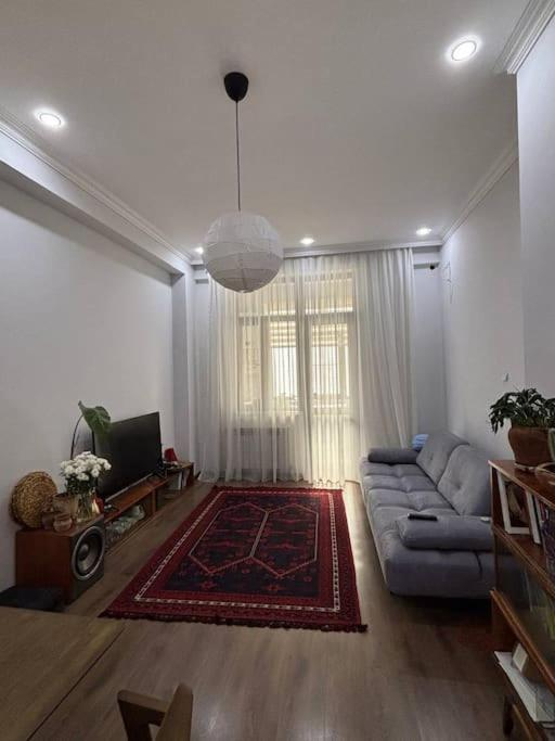 Cozy & Quiet Apartment in Baku